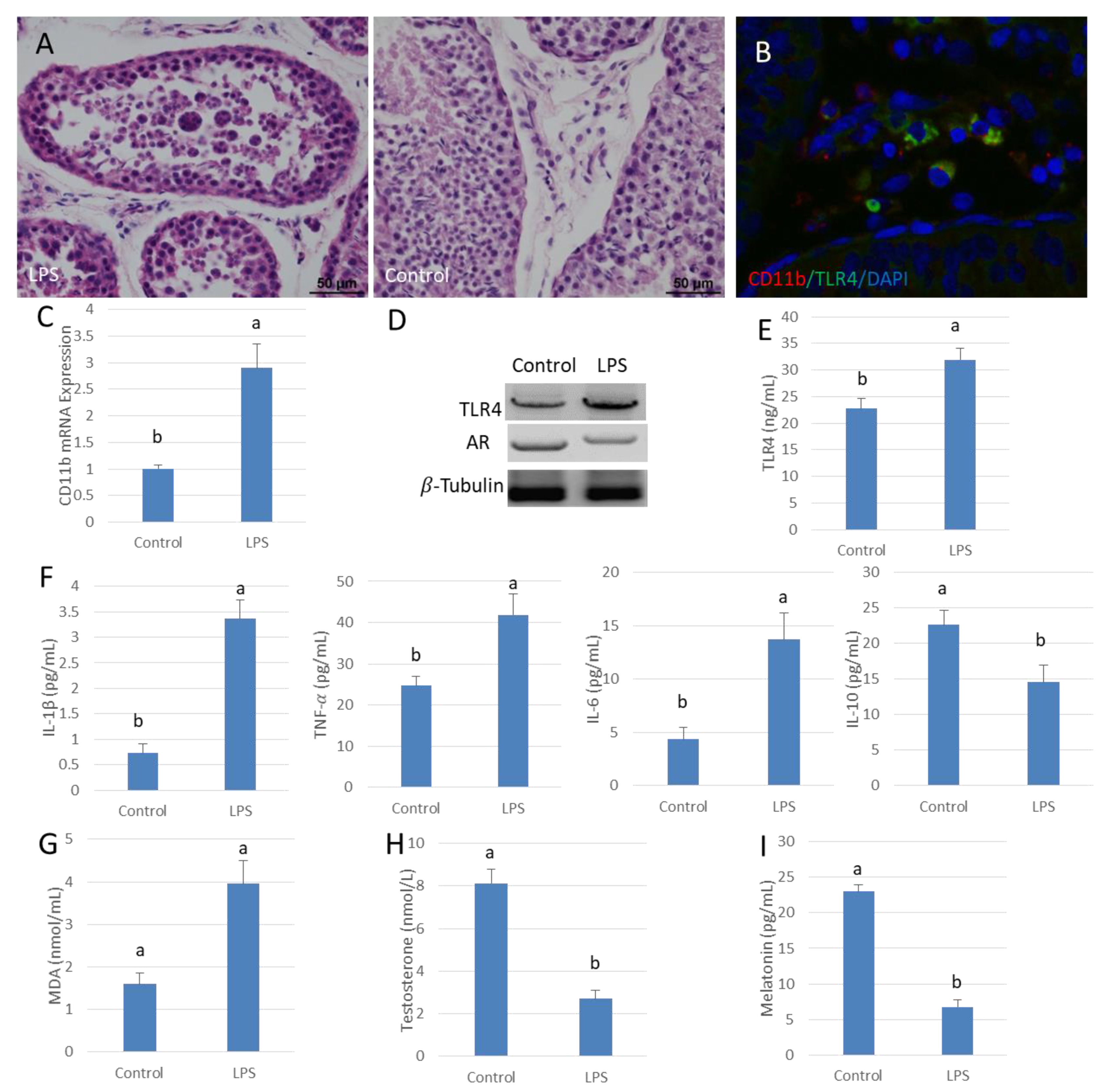 Antioxidants 09 01277 g001