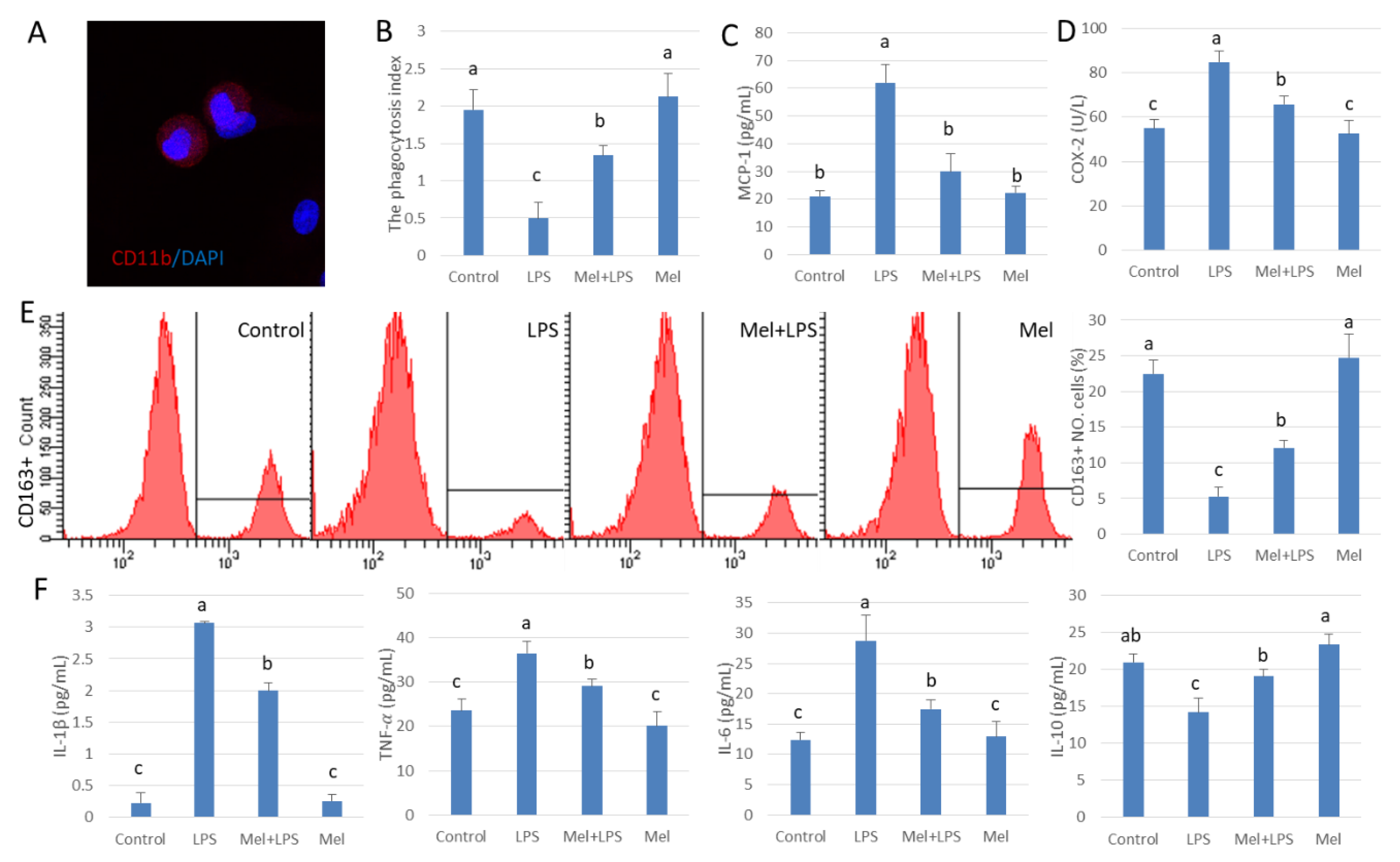 Antioxidants 09 01277 g002