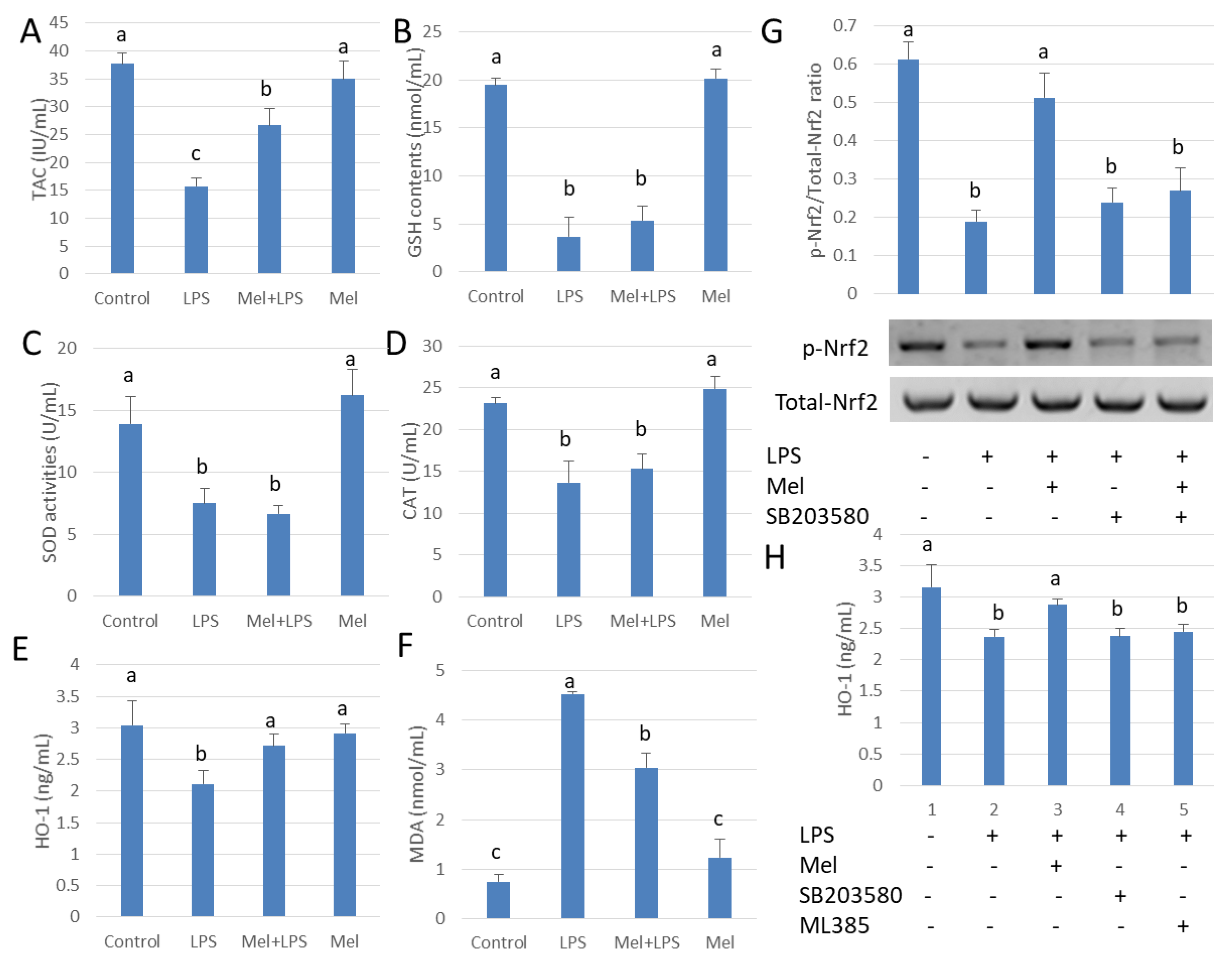 Antioxidants 09 01277 g005