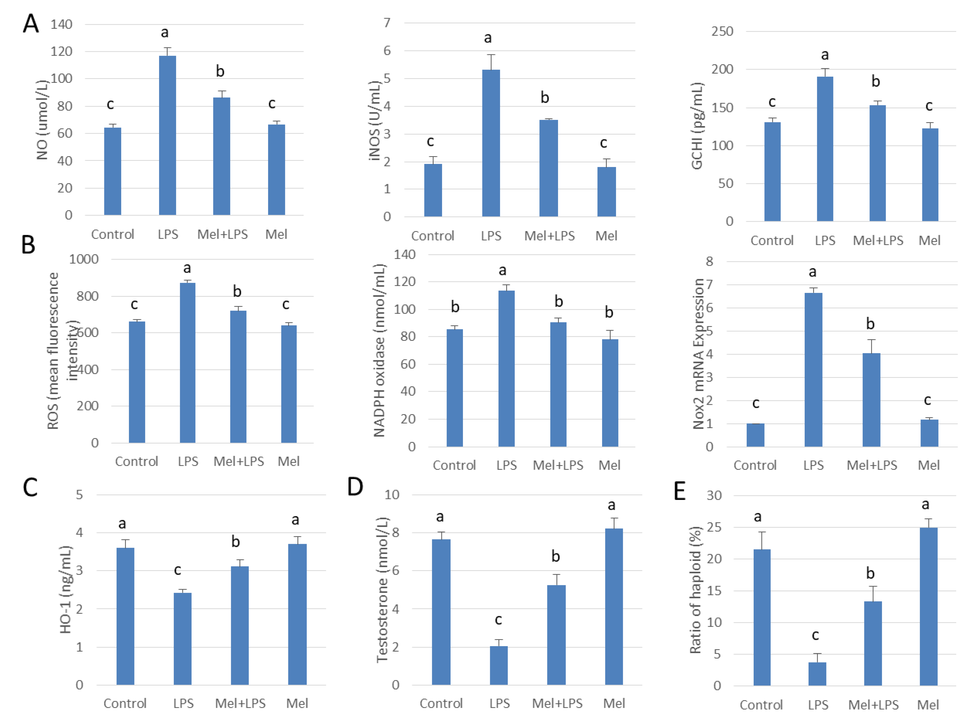 Antioxidants 09 01277 g008