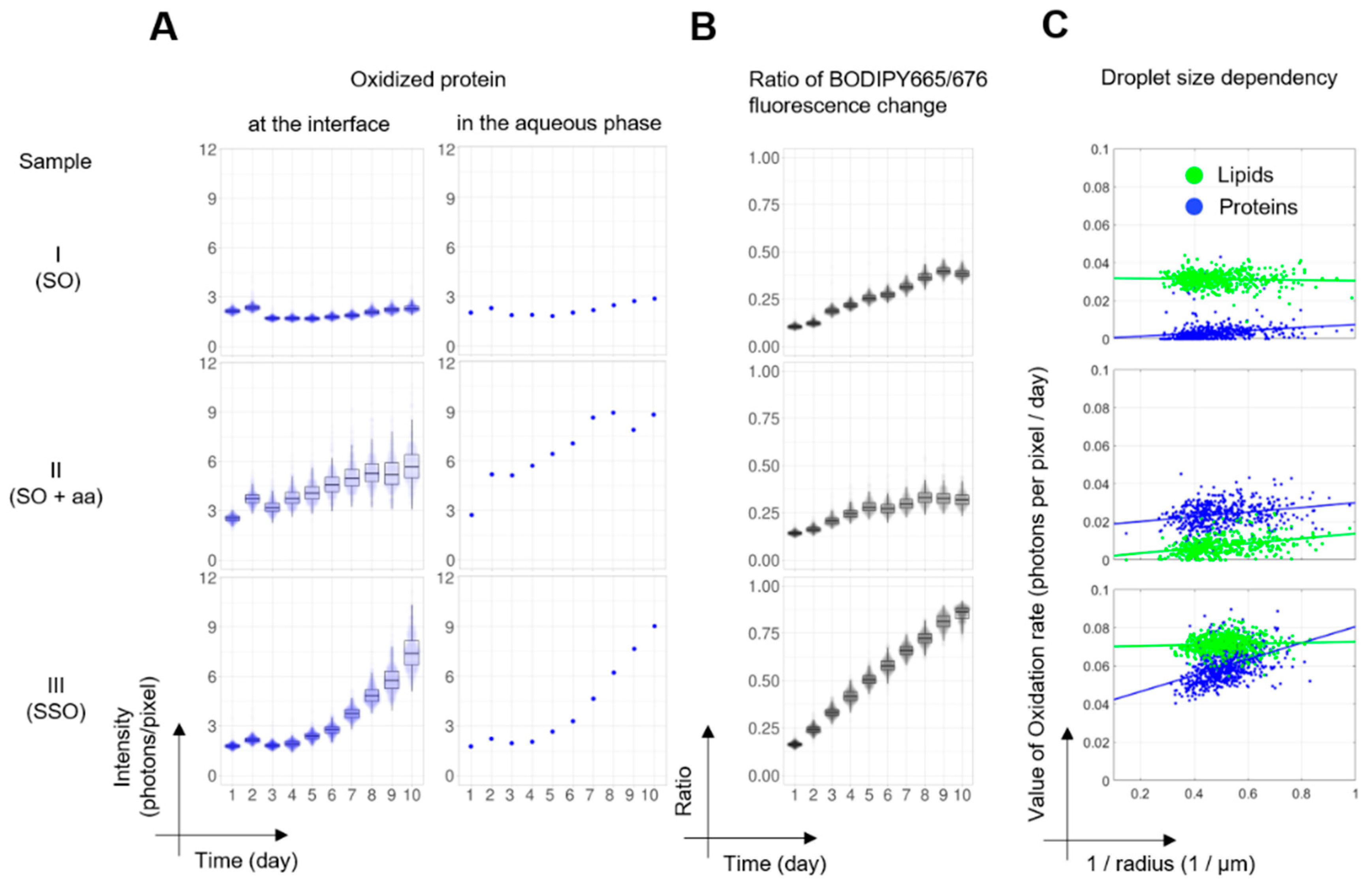 Antioxidants 09 01278 g003 Antioxidants 09 01278 g003