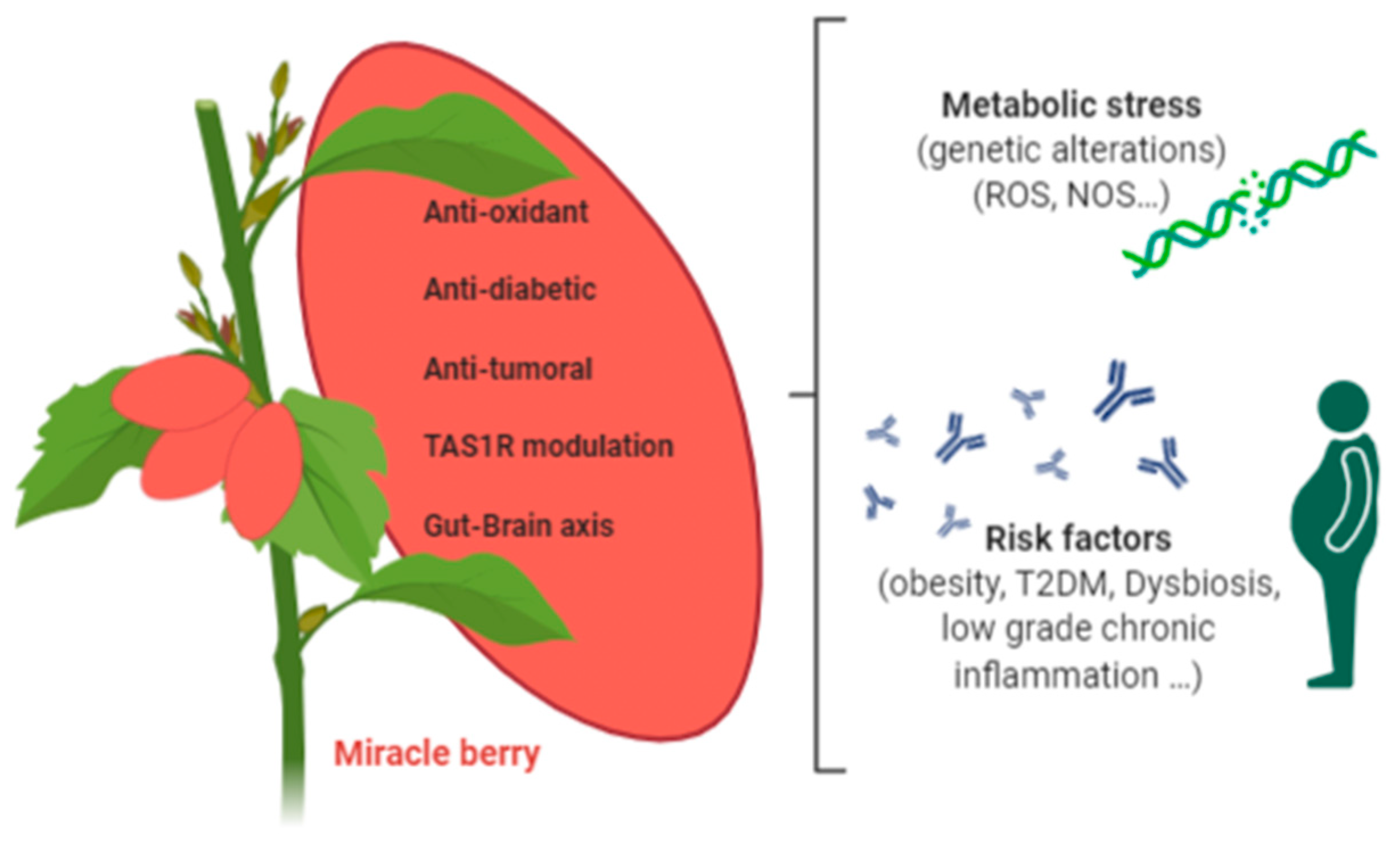 Antioxidants 09 01282 g003