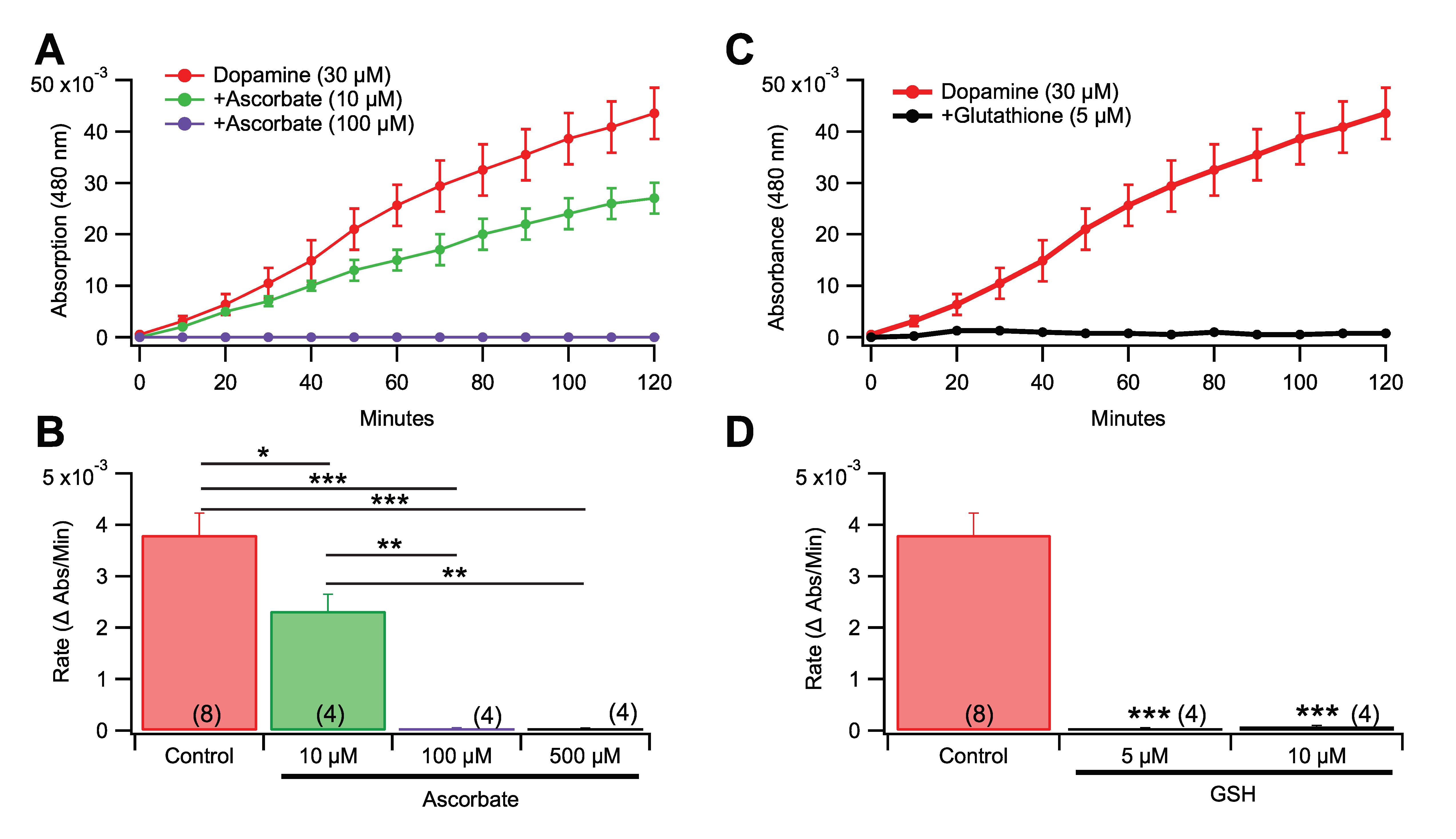 Antioxidants 09 01285 g004 Antioxidants 09 01285 g004