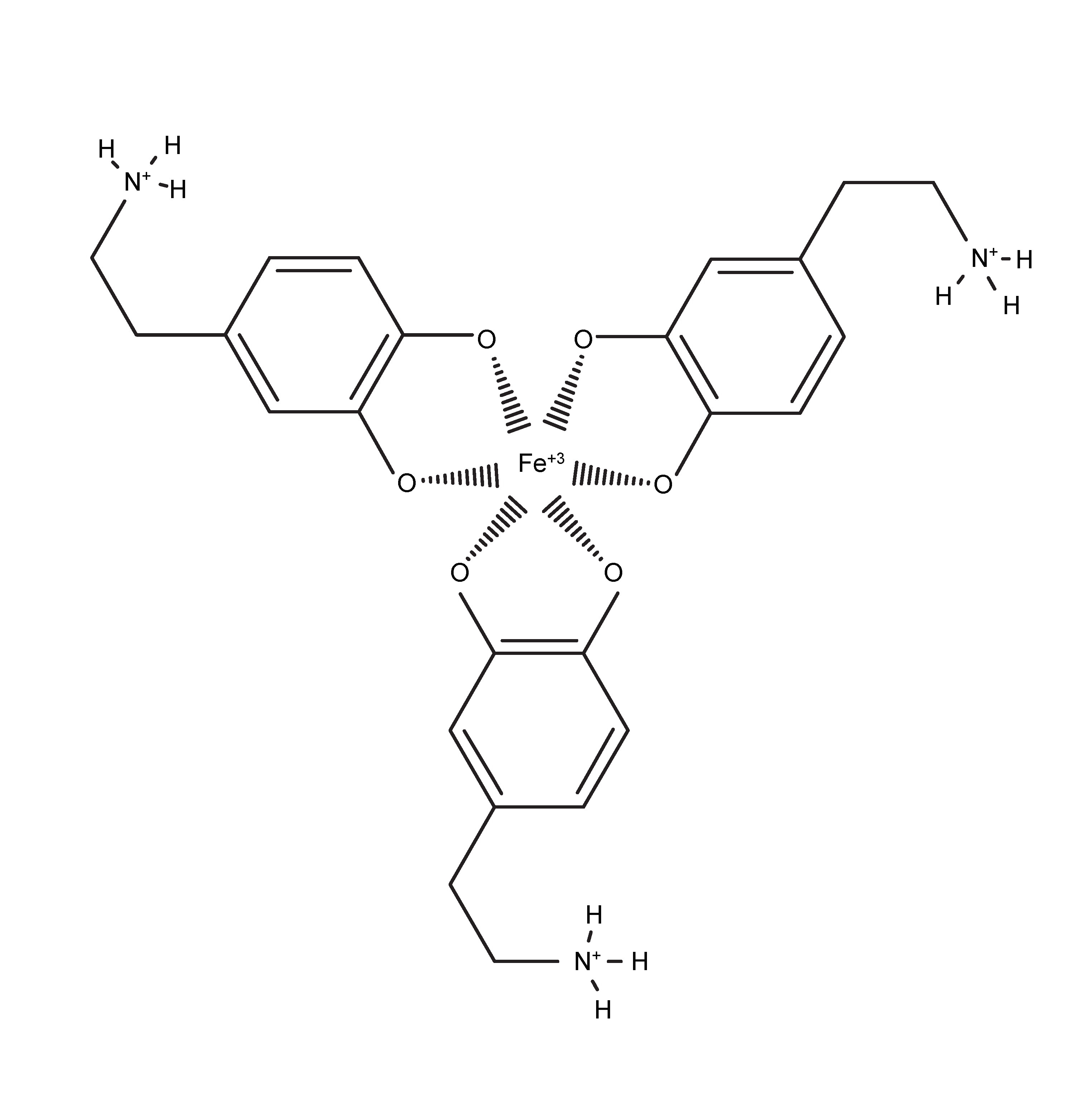Antioxidants 09 01285 g007 Antioxidants 09 01285 g007