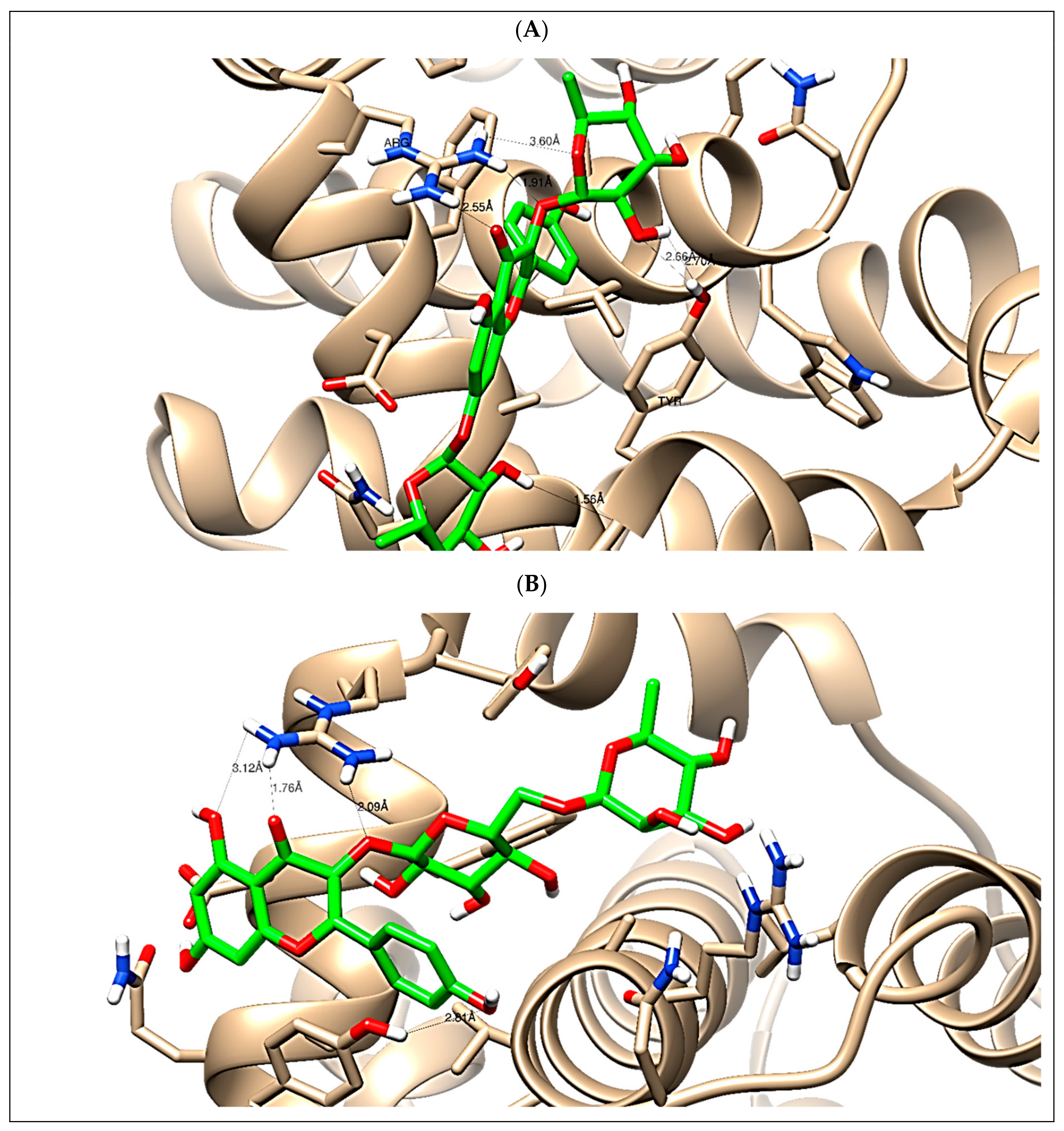 Antioxidants 09 01286 g009 Antioxidants 09 01286 g009