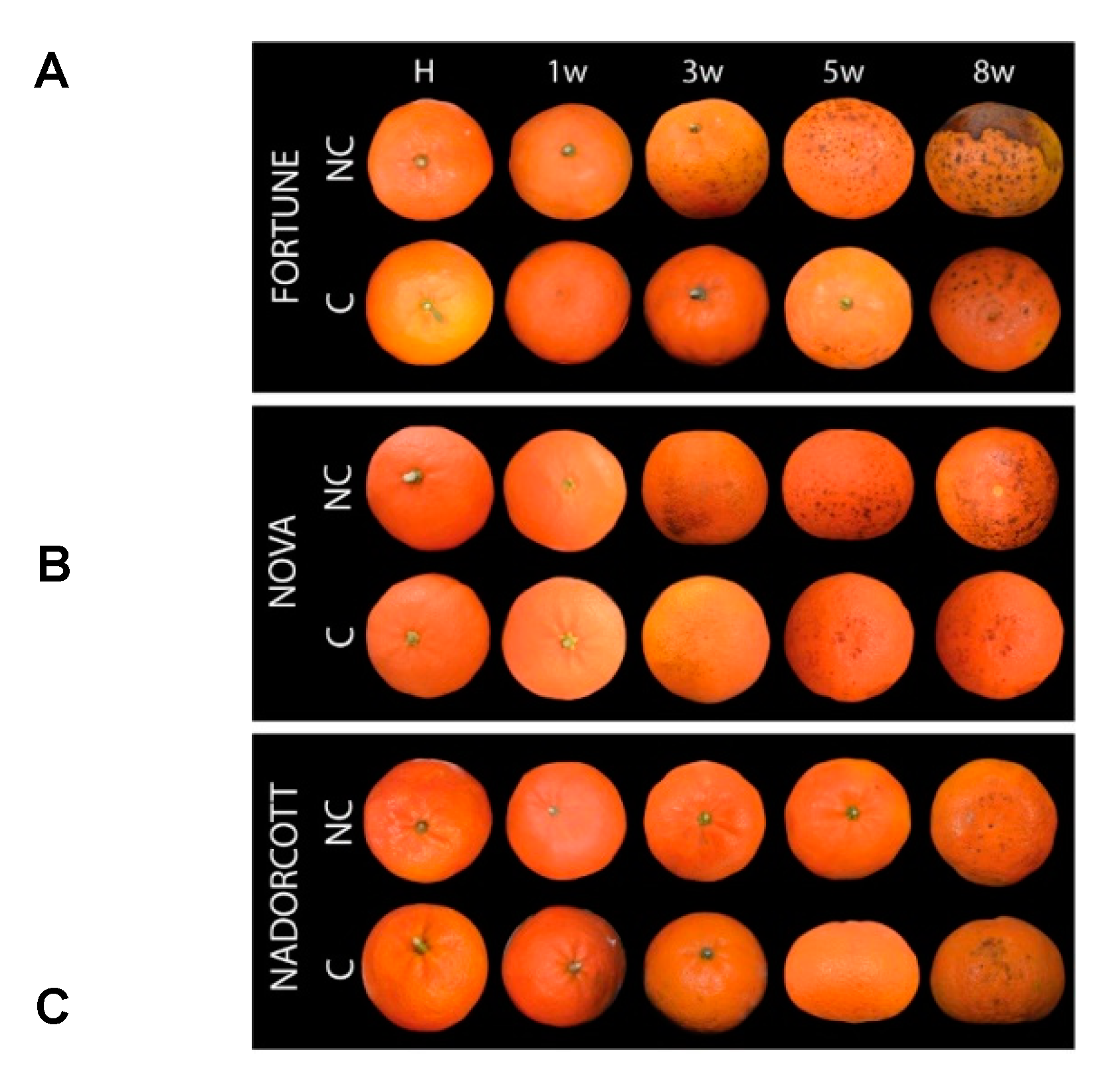 Antioxidants 09 01296 g001