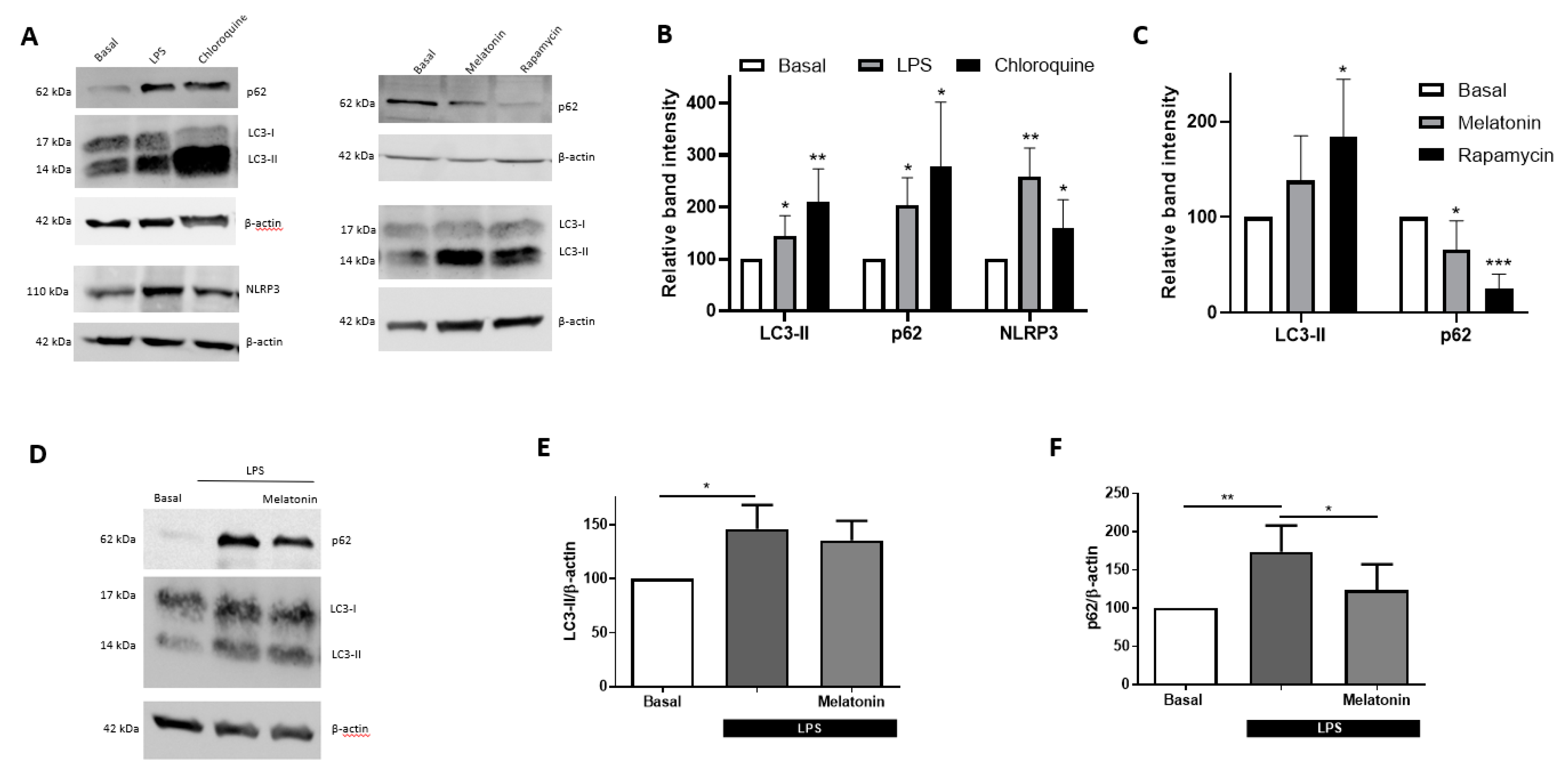 Antioxidants 09 01299 g001
