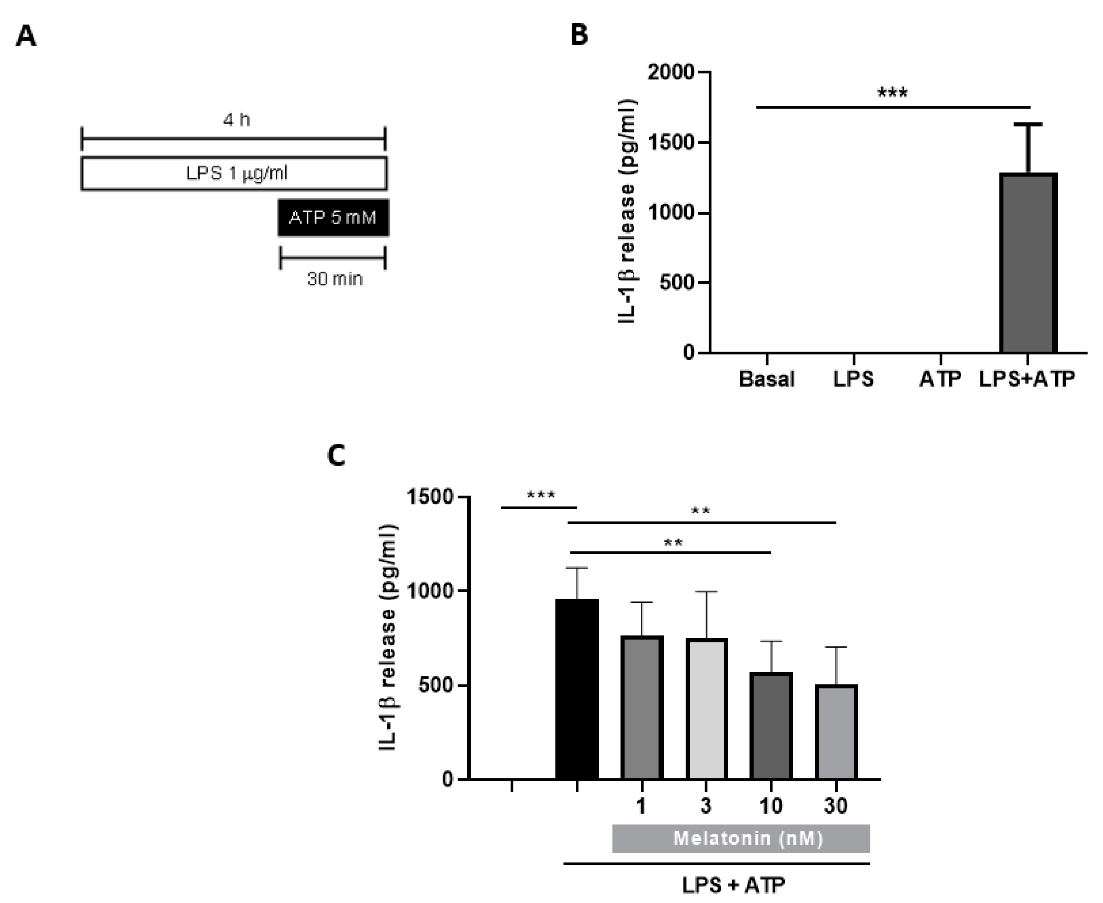 Antioxidants 09 01299 g002
