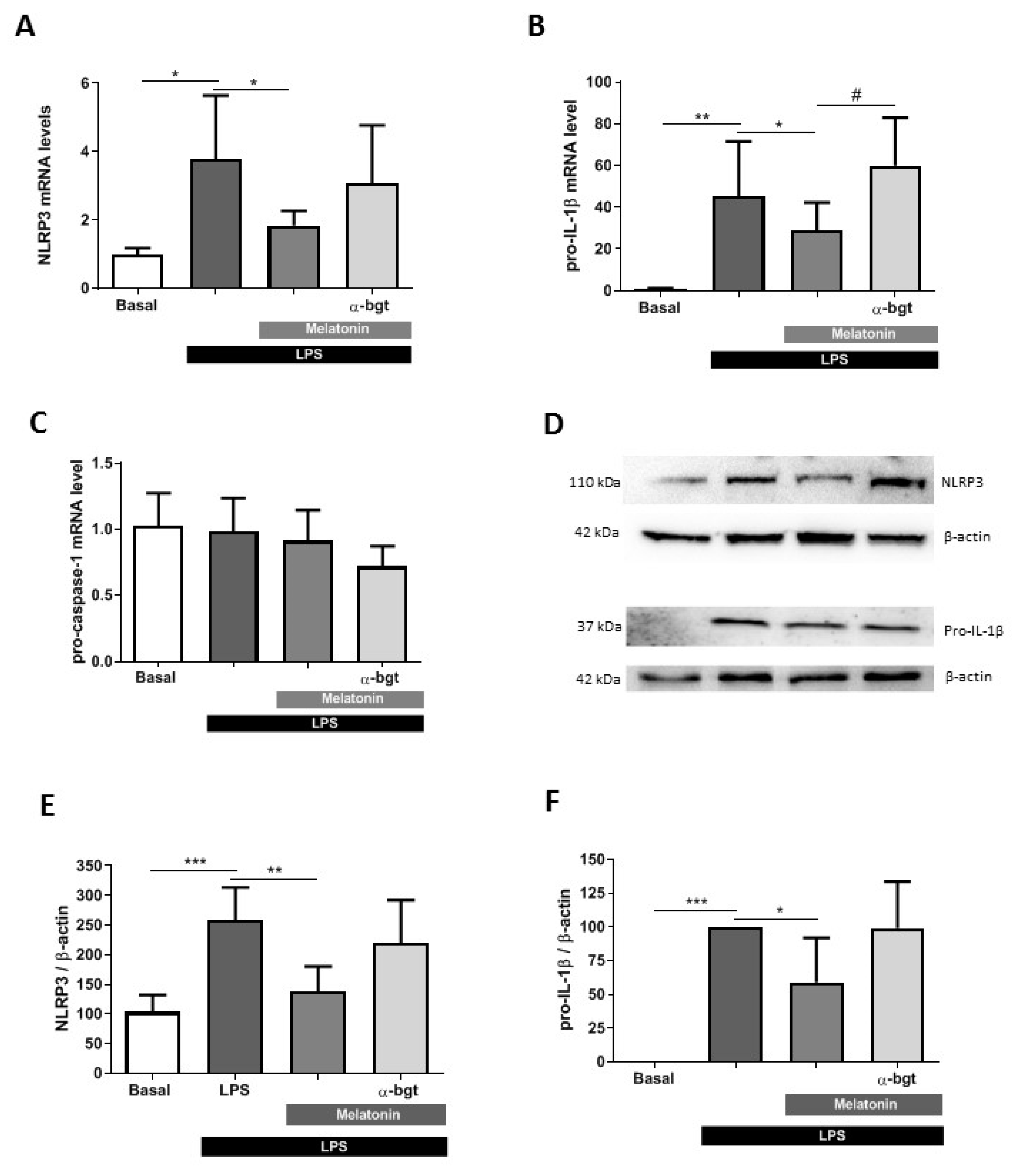 Antioxidants 09 01299 g005
