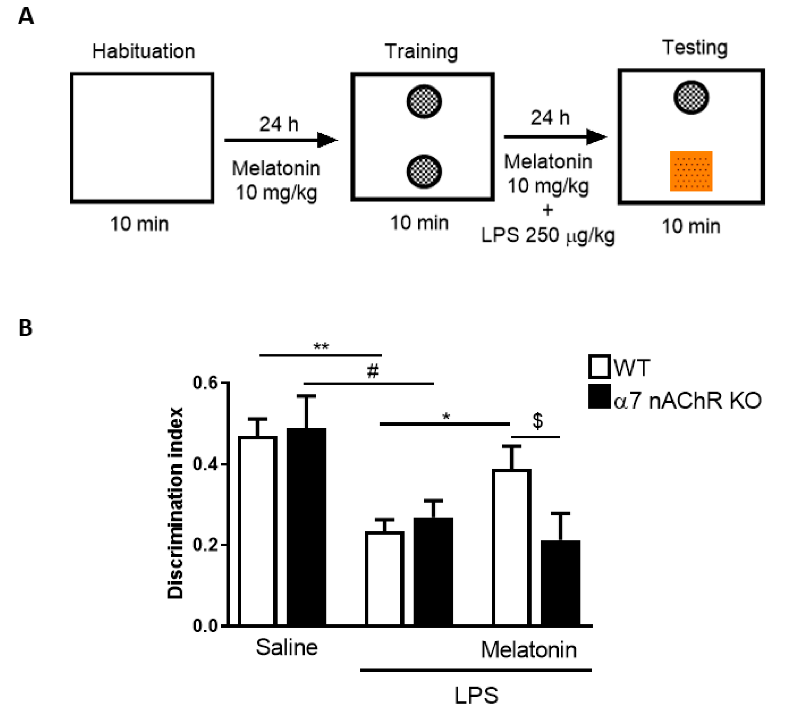 Antioxidants 09 01299 g006