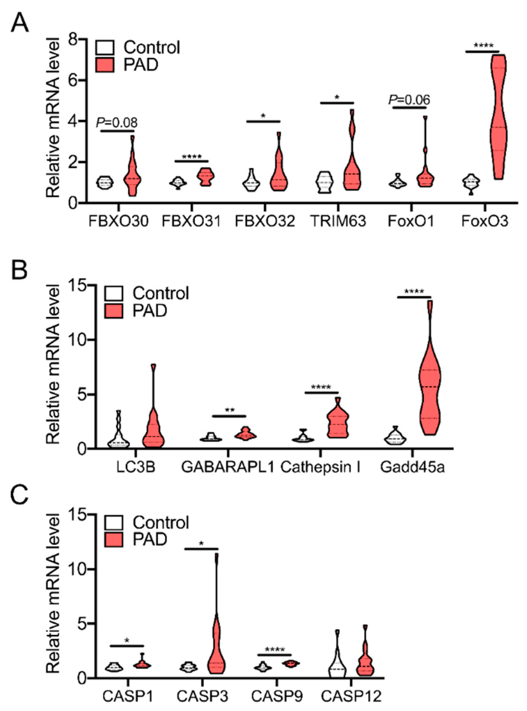 Antioxidants 09 01304 g005