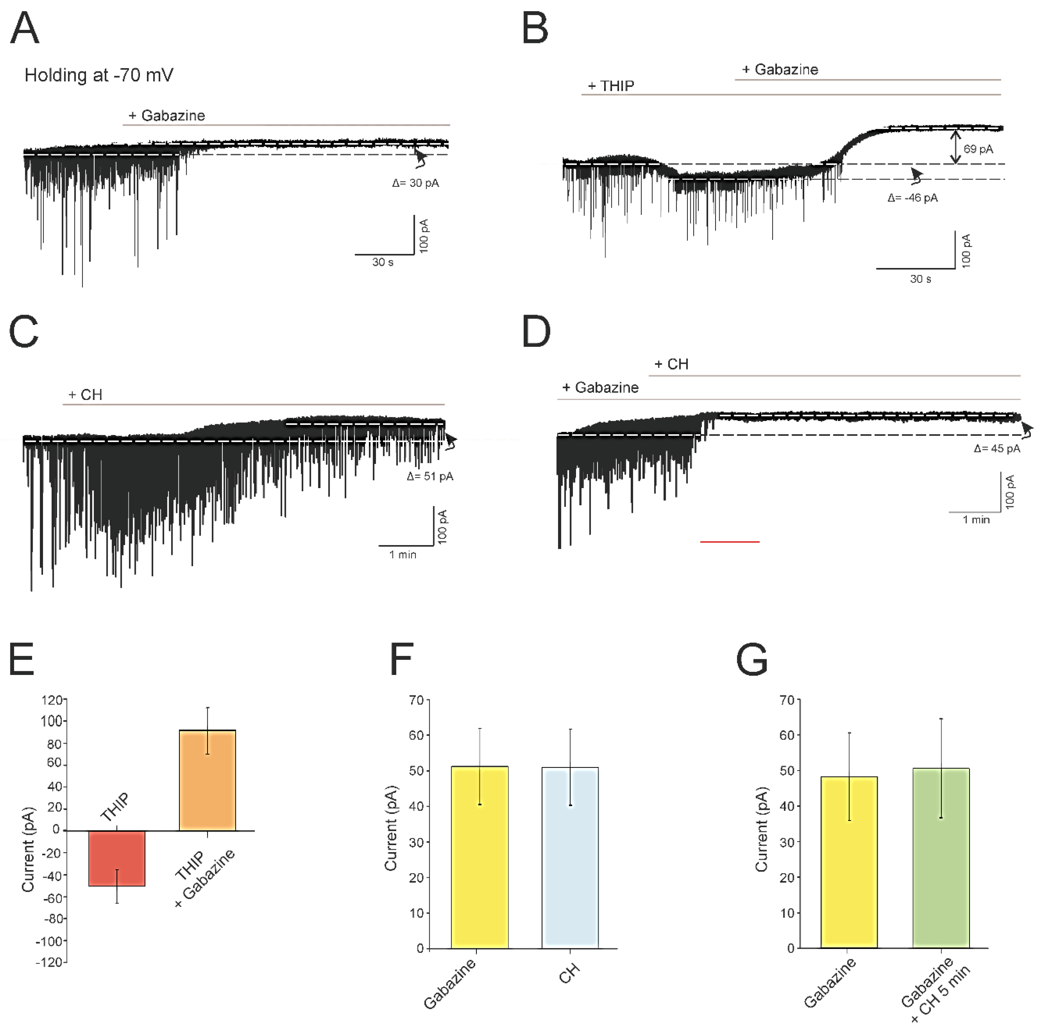 Antioxidants 09 01307 g003 Antioxidants 09 01307 g003