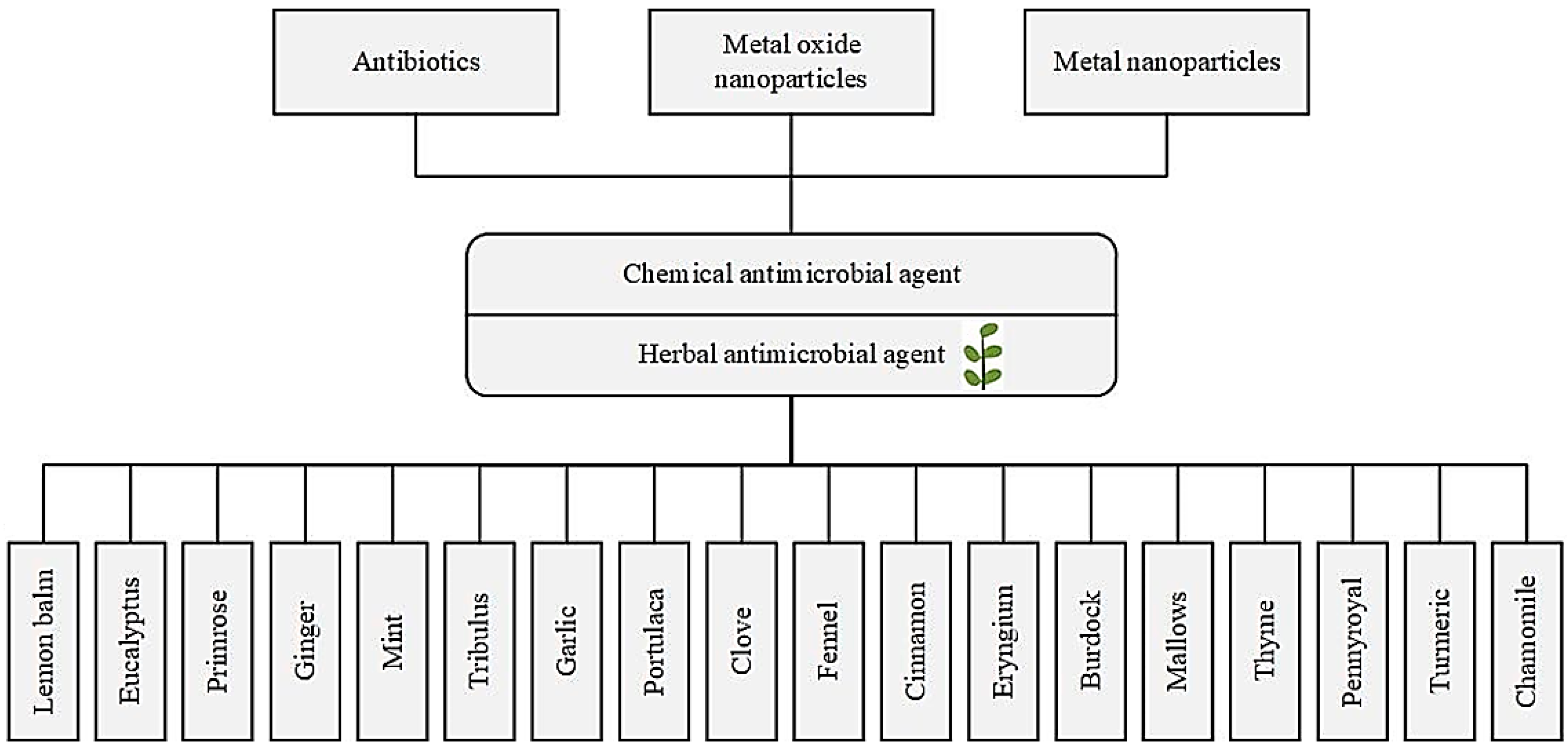 Antioxidants 09 01309 g003