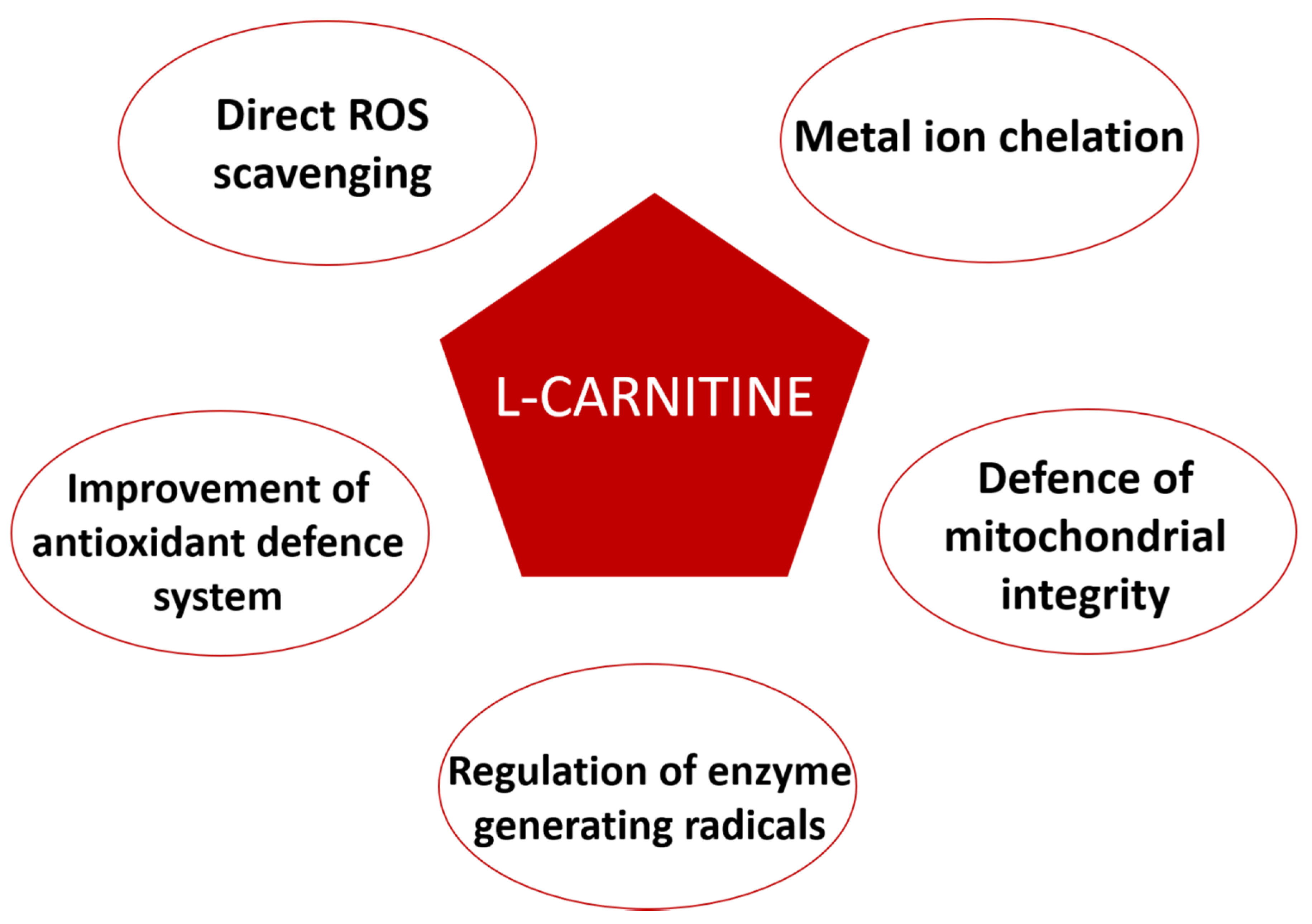 Antioxidants 09 01310 g004 Antioxidants 09 01310 g004