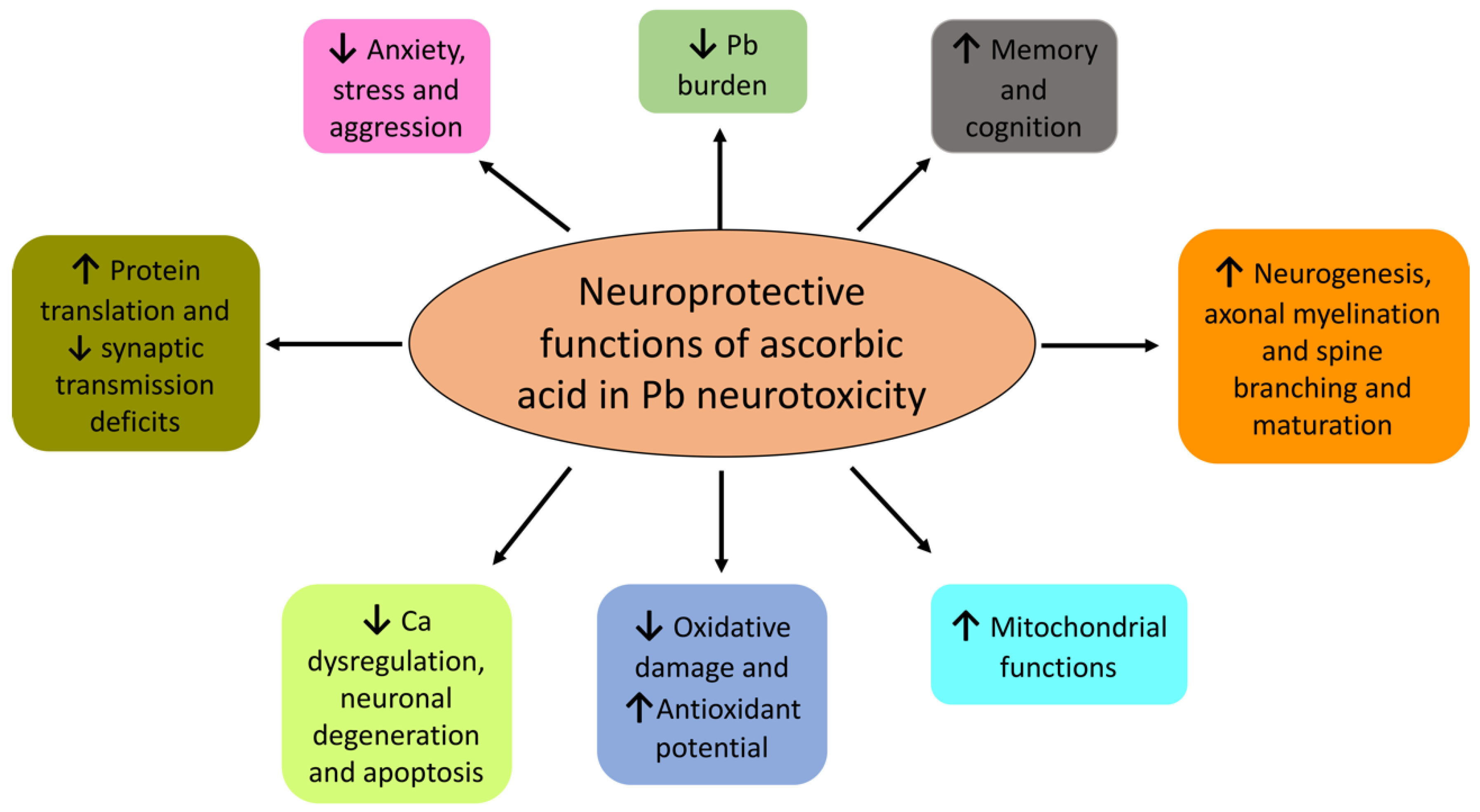 Antioxidants 09 01311 g003