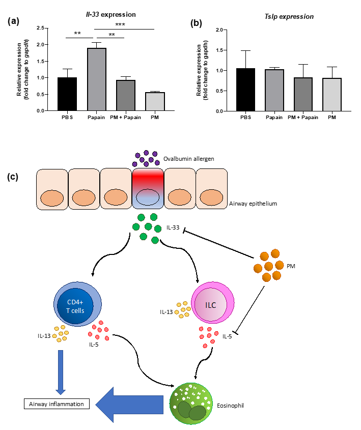 Antioxidants 10 00006 g006