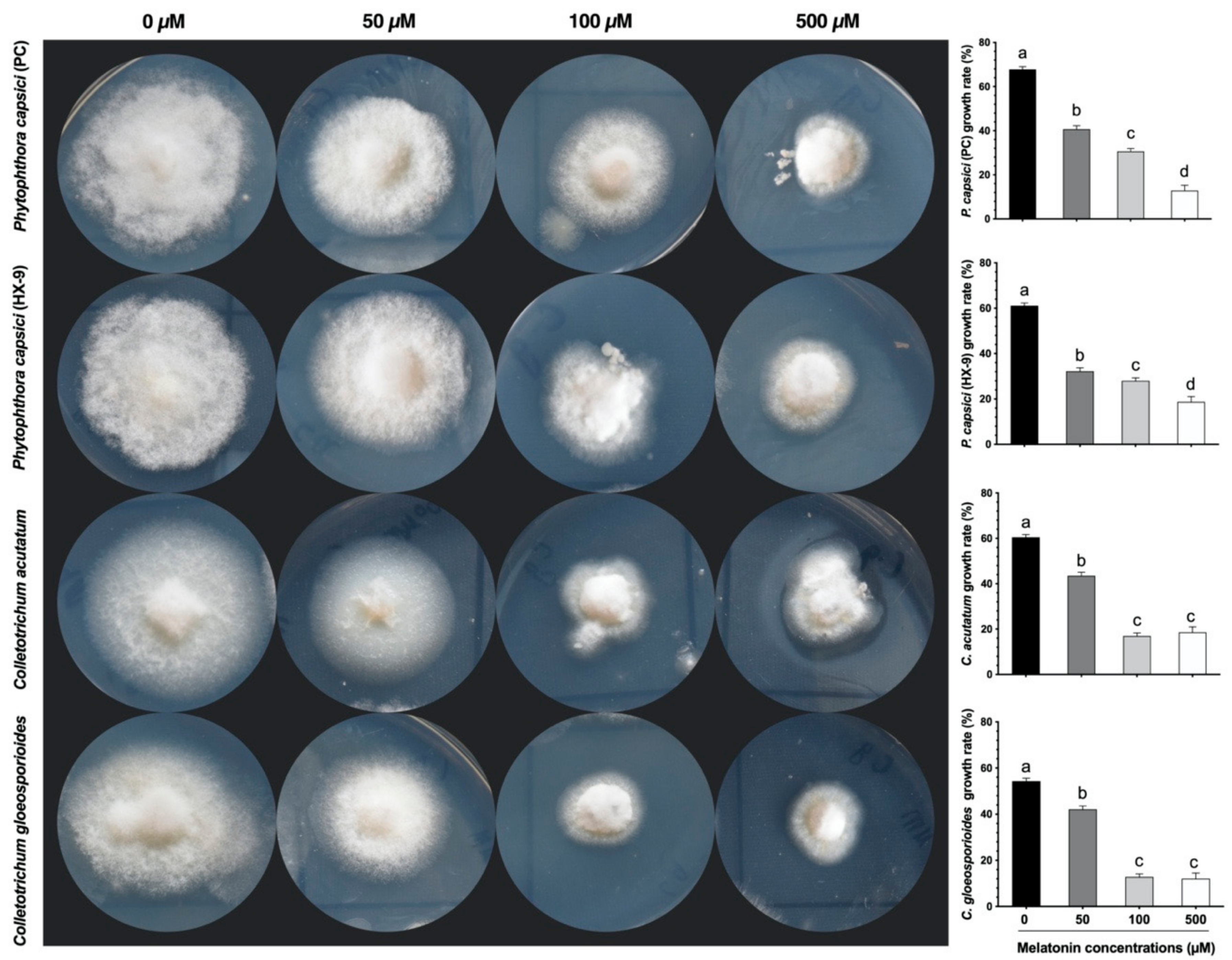 Antioxidants 10 00007 g001