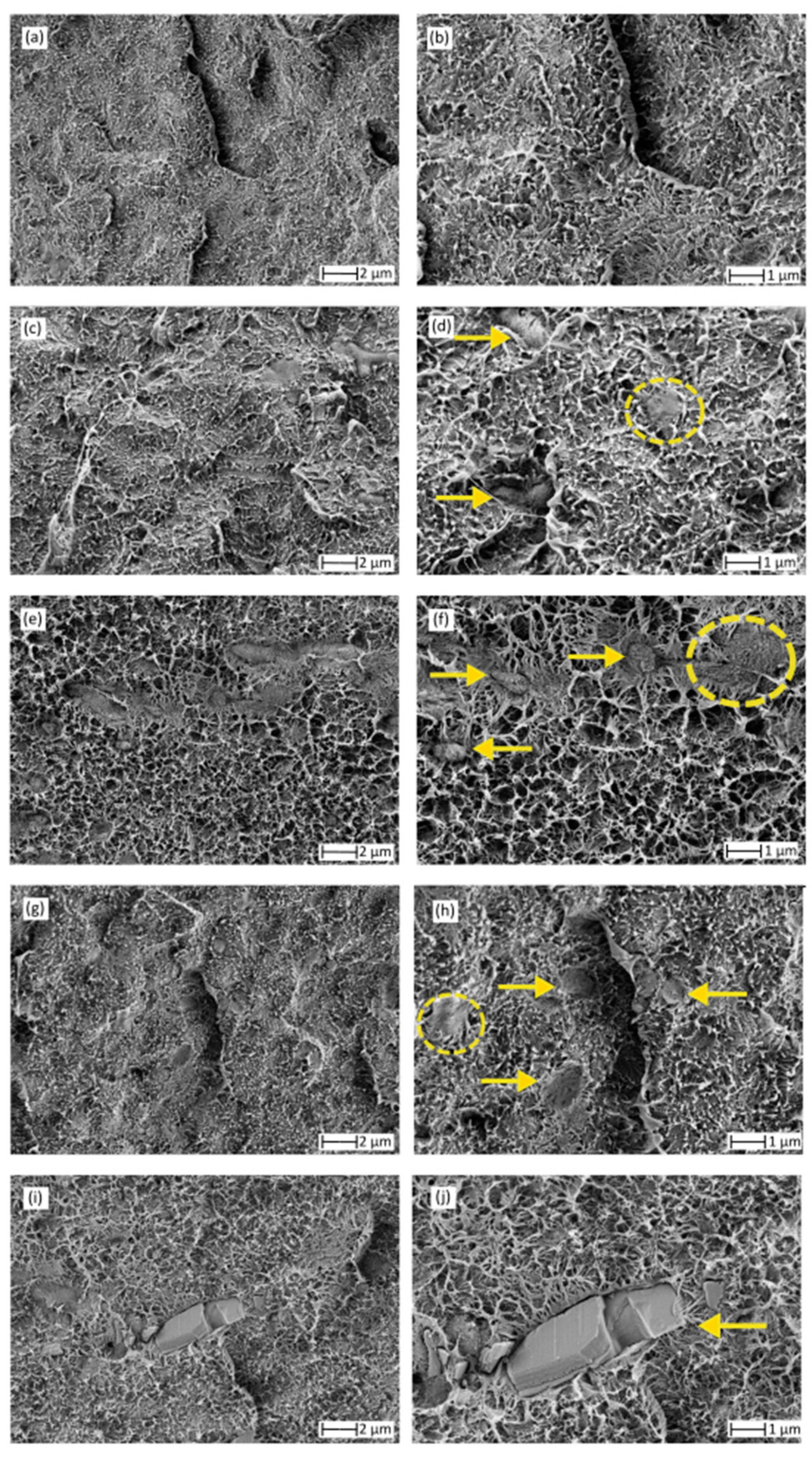 Antioxidants 10 00014 g003 Antioxidants 10 00014 g003