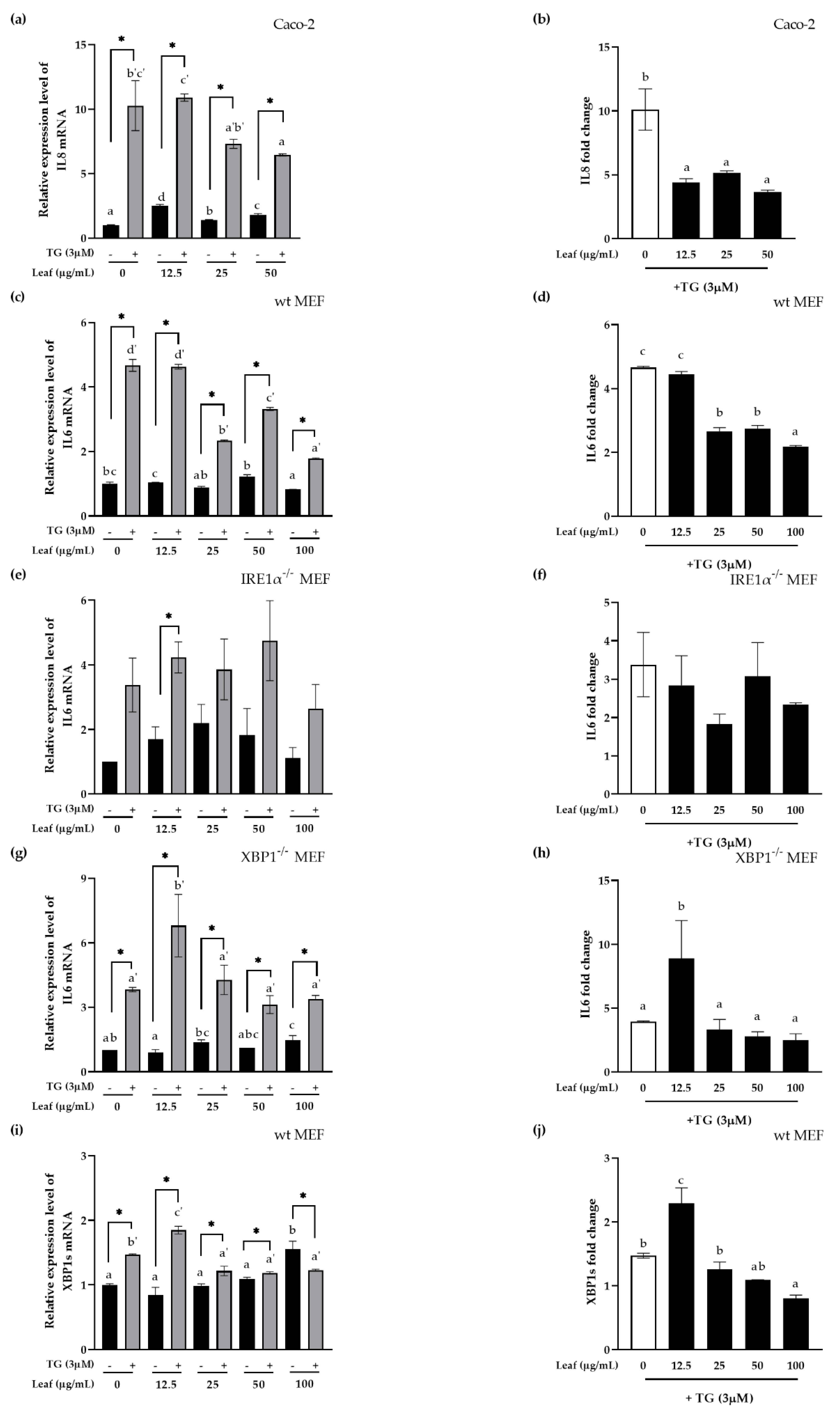 Antioxidants 10 00020 g004