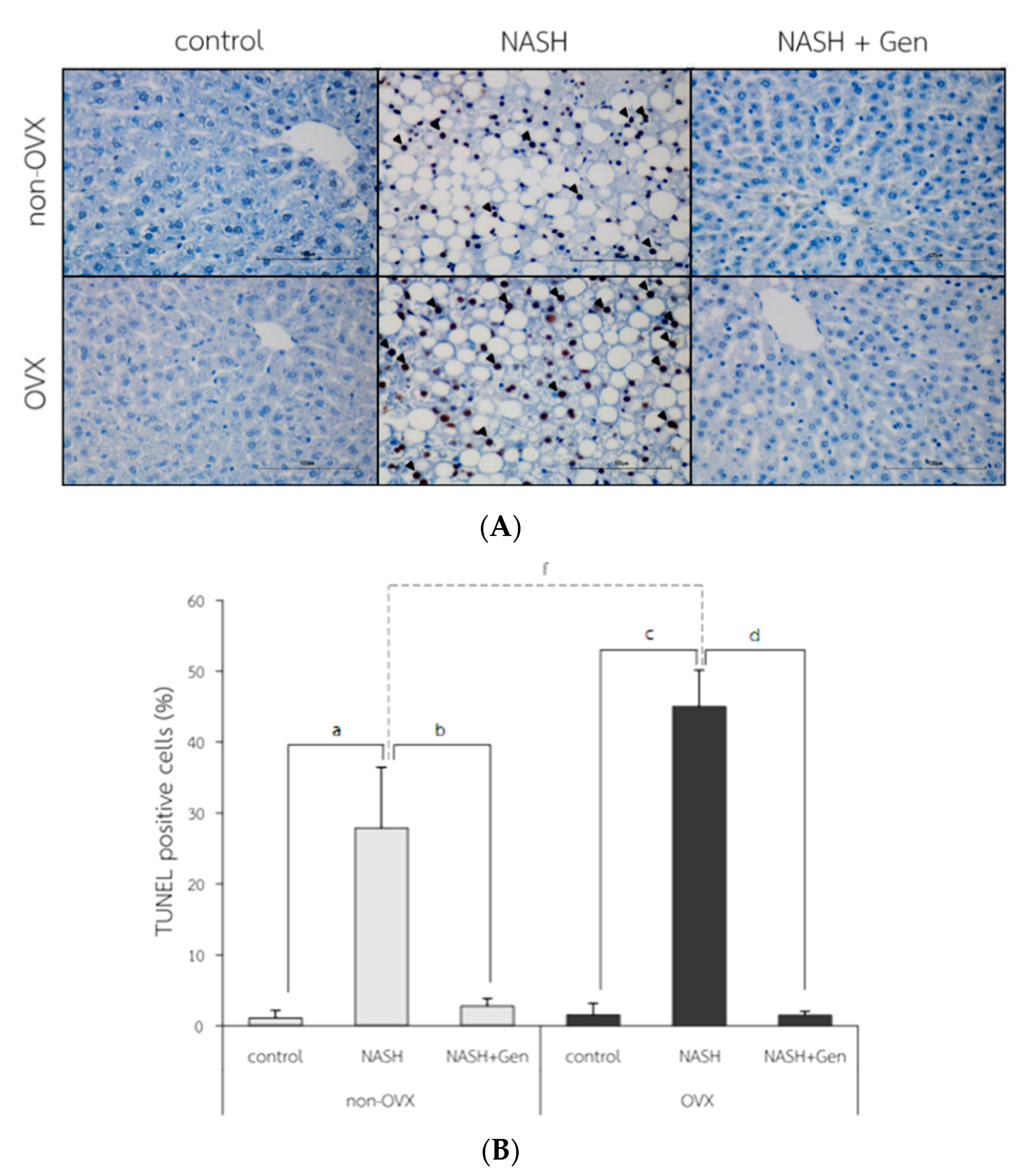 Antioxidants 10 00024 g007 Antioxidants 10 00024 g007