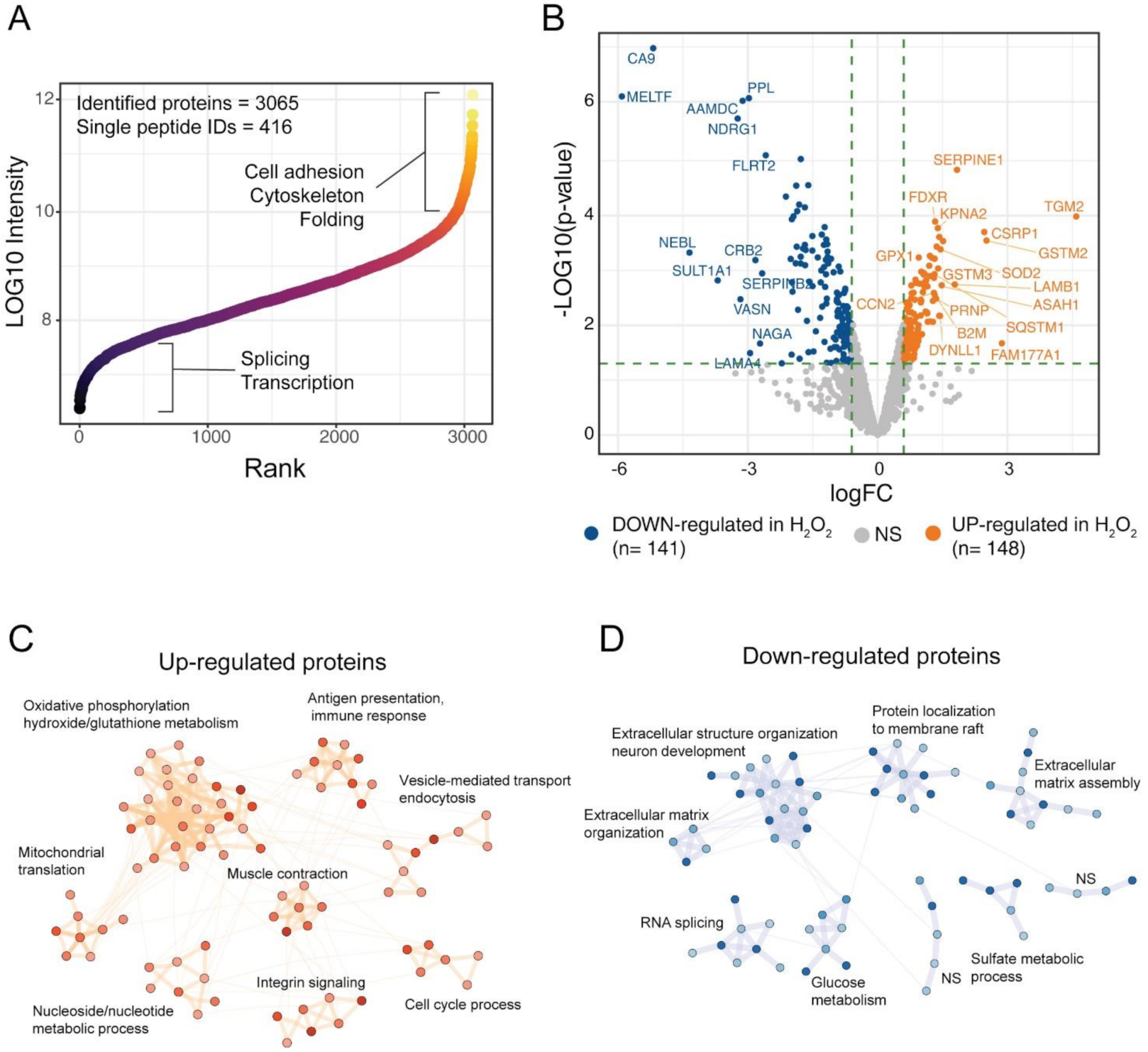 Antioxidants 10 00025 g002