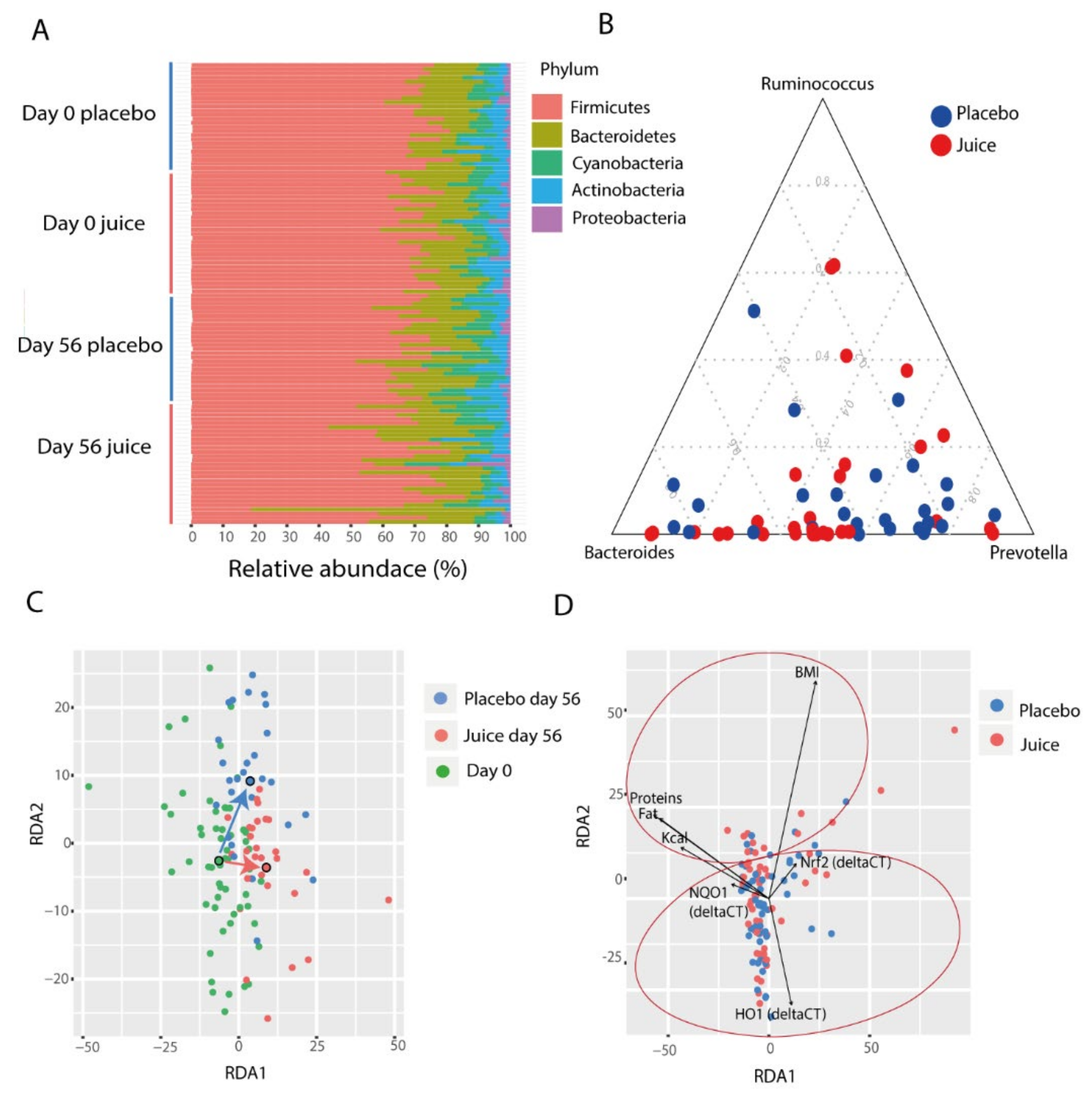 Antioxidants 10 00027 g006 Antioxidants 10 00027 g006