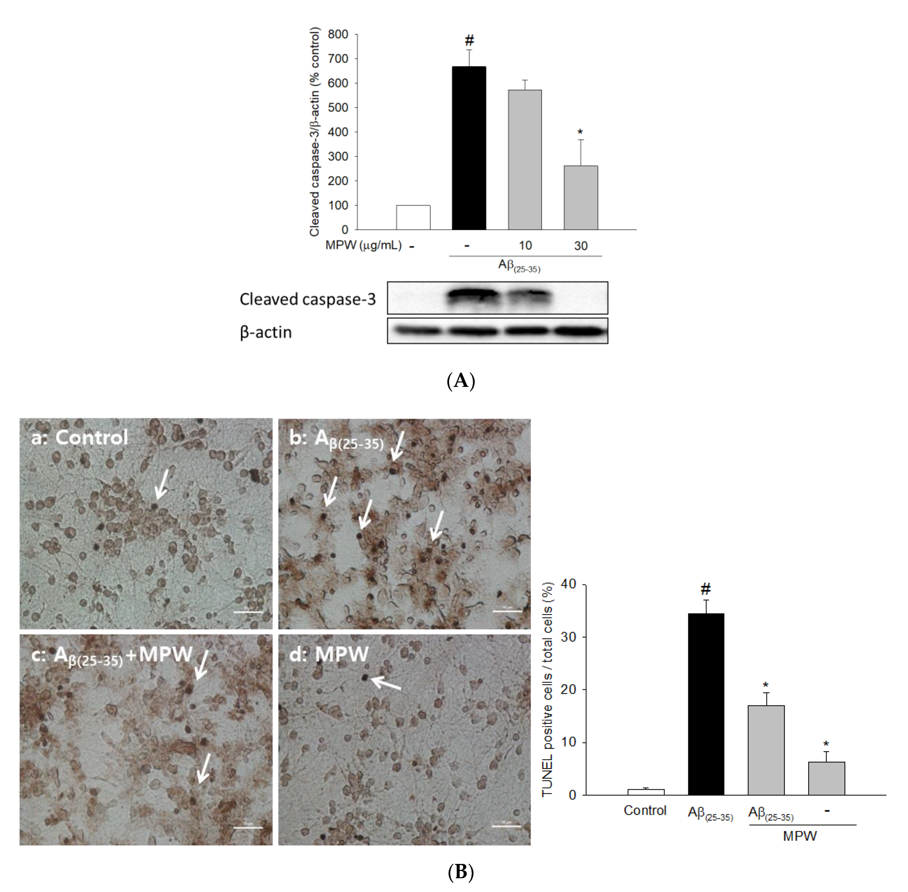 Antioxidants 10 00034 g002