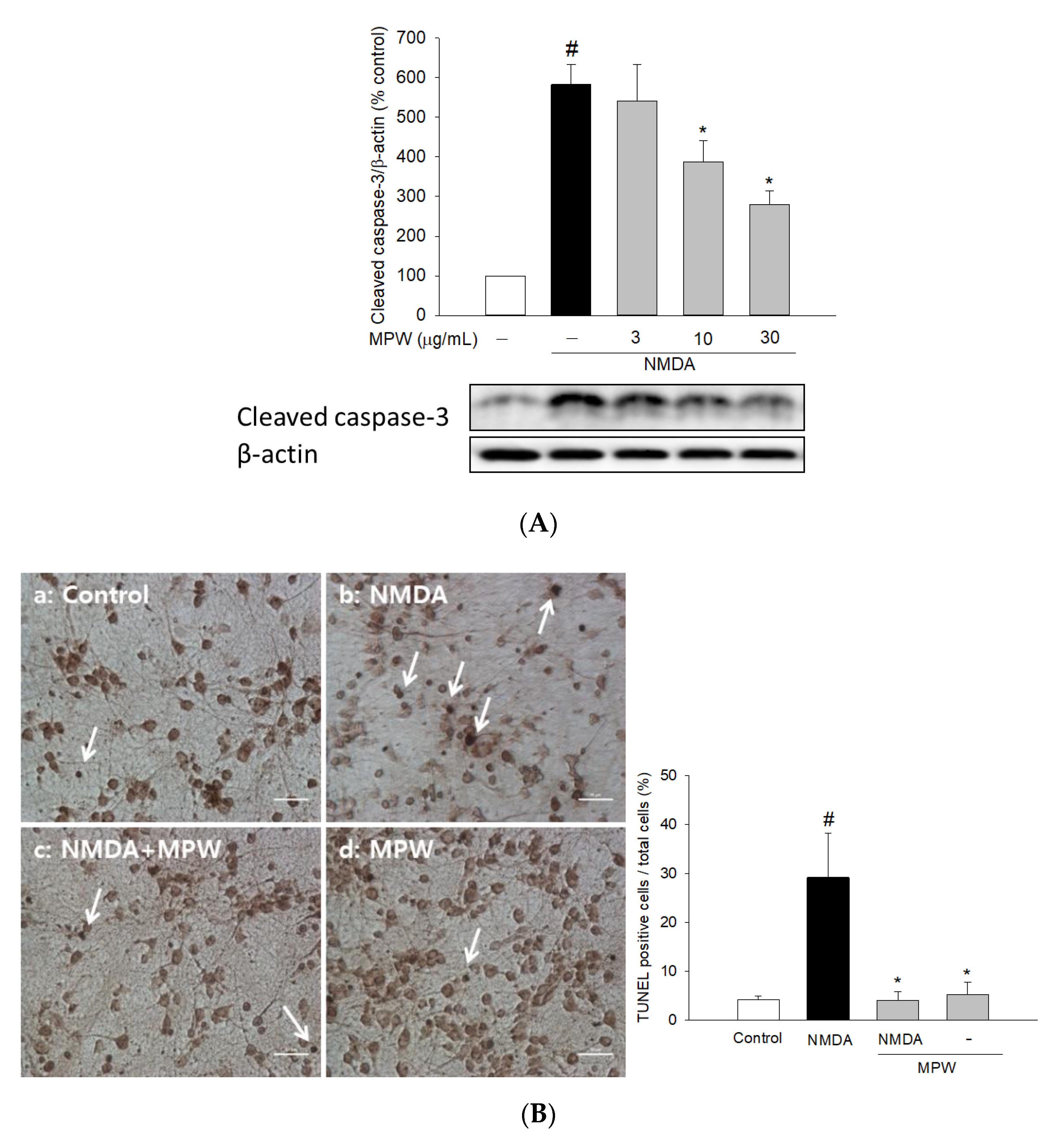 Antioxidants 10 00034 g004