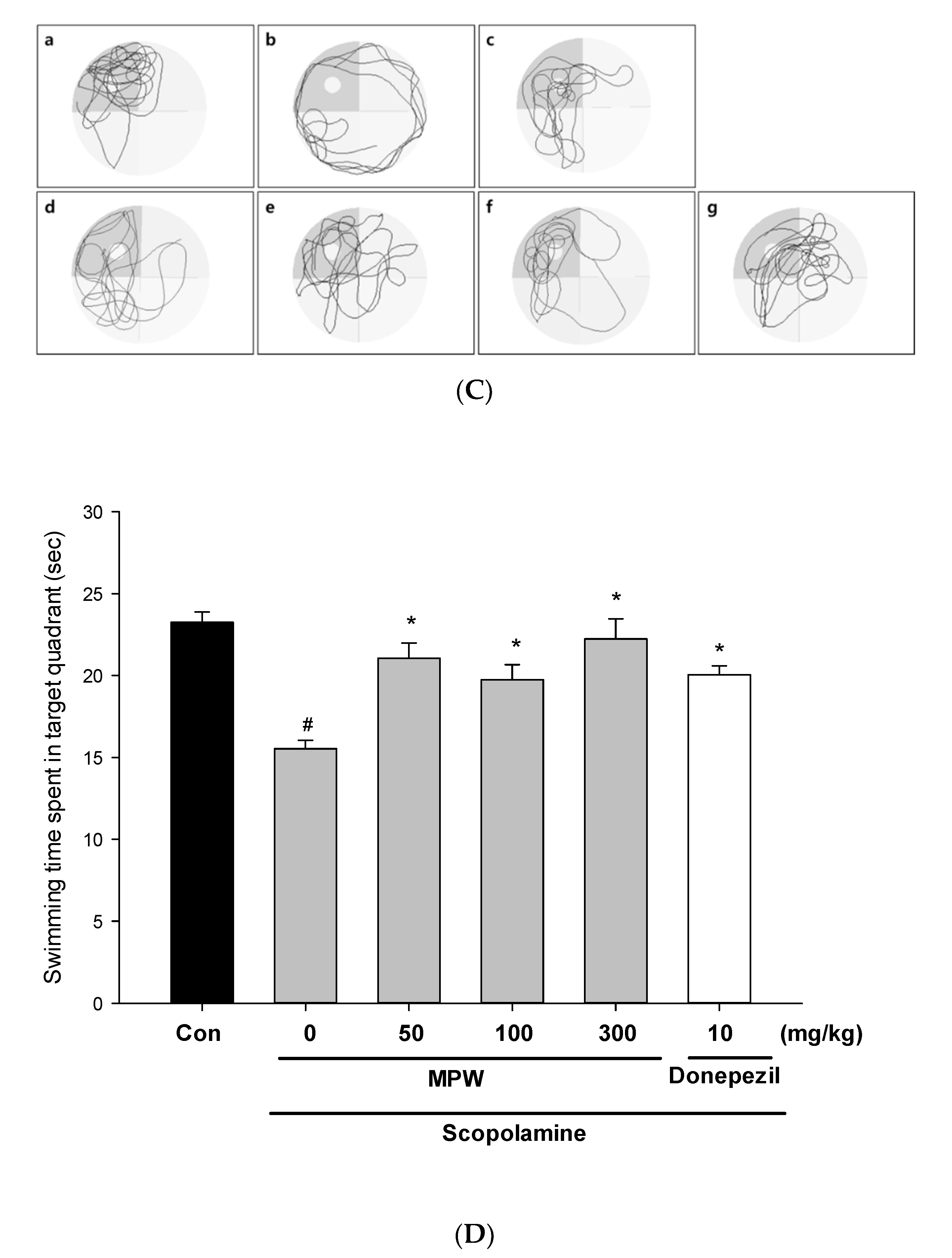 Antioxidants 10 00034 g008b