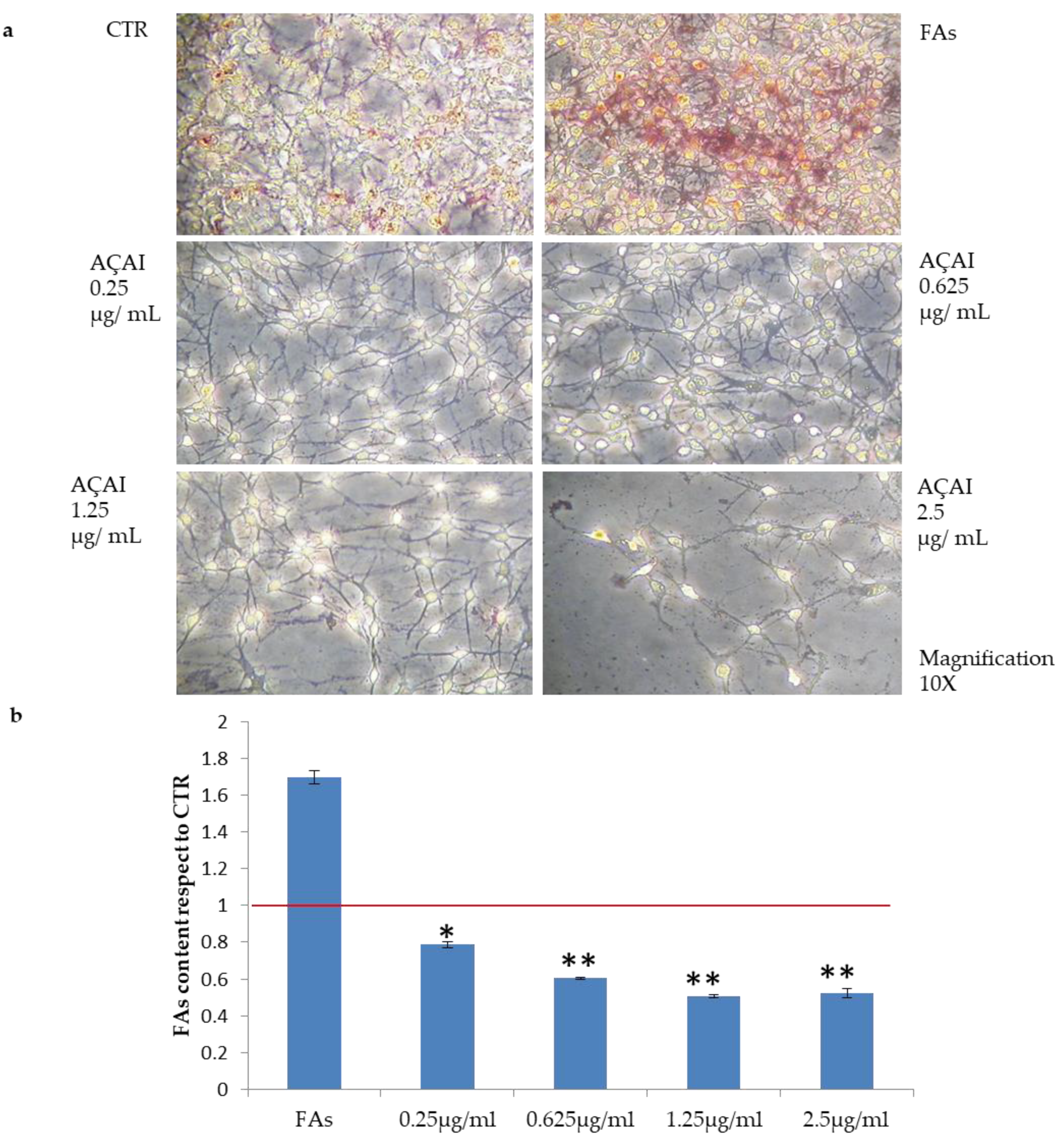 Antioxidants 10 00040 g005
