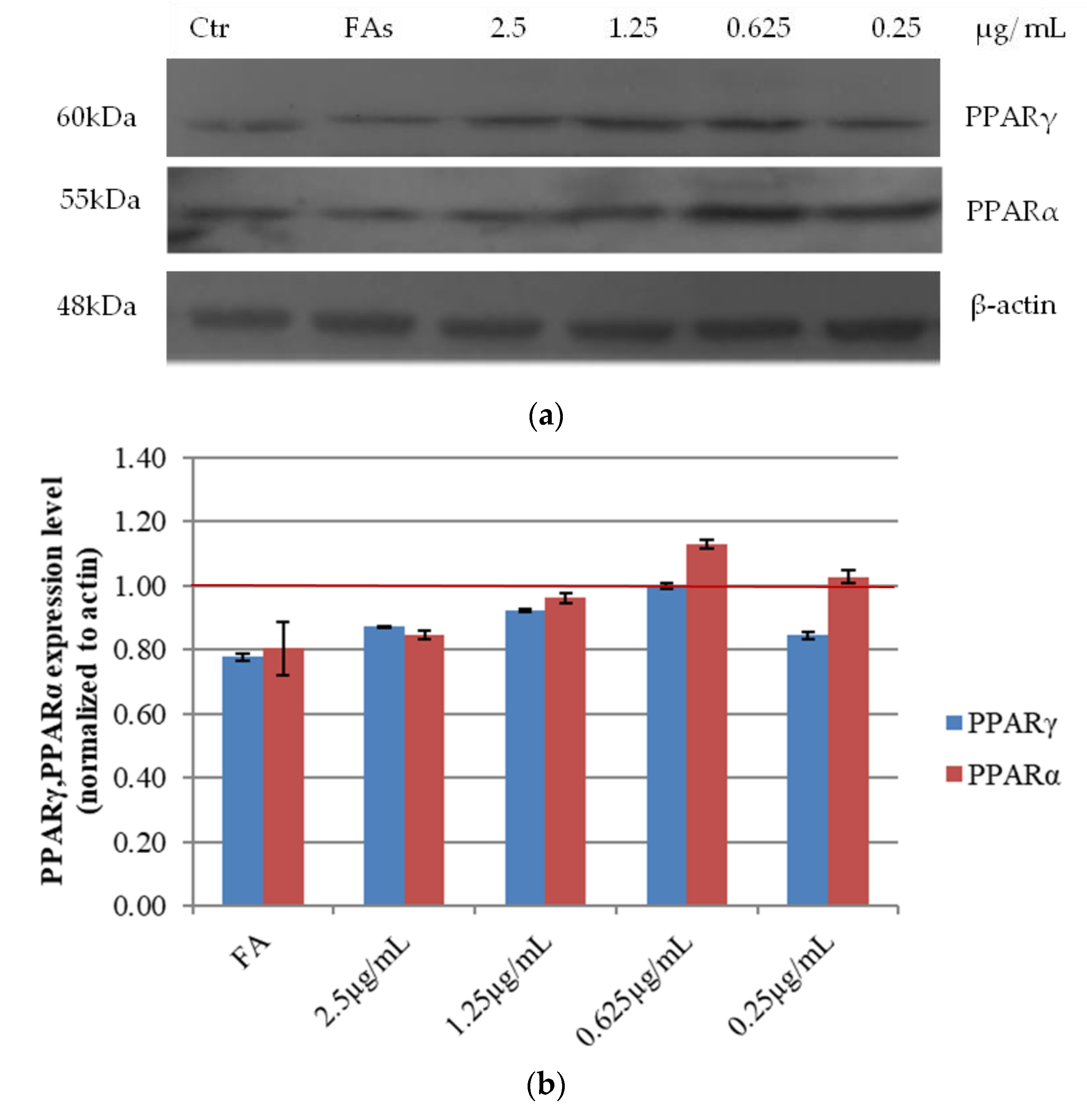 Antioxidants 10 00040 g006
