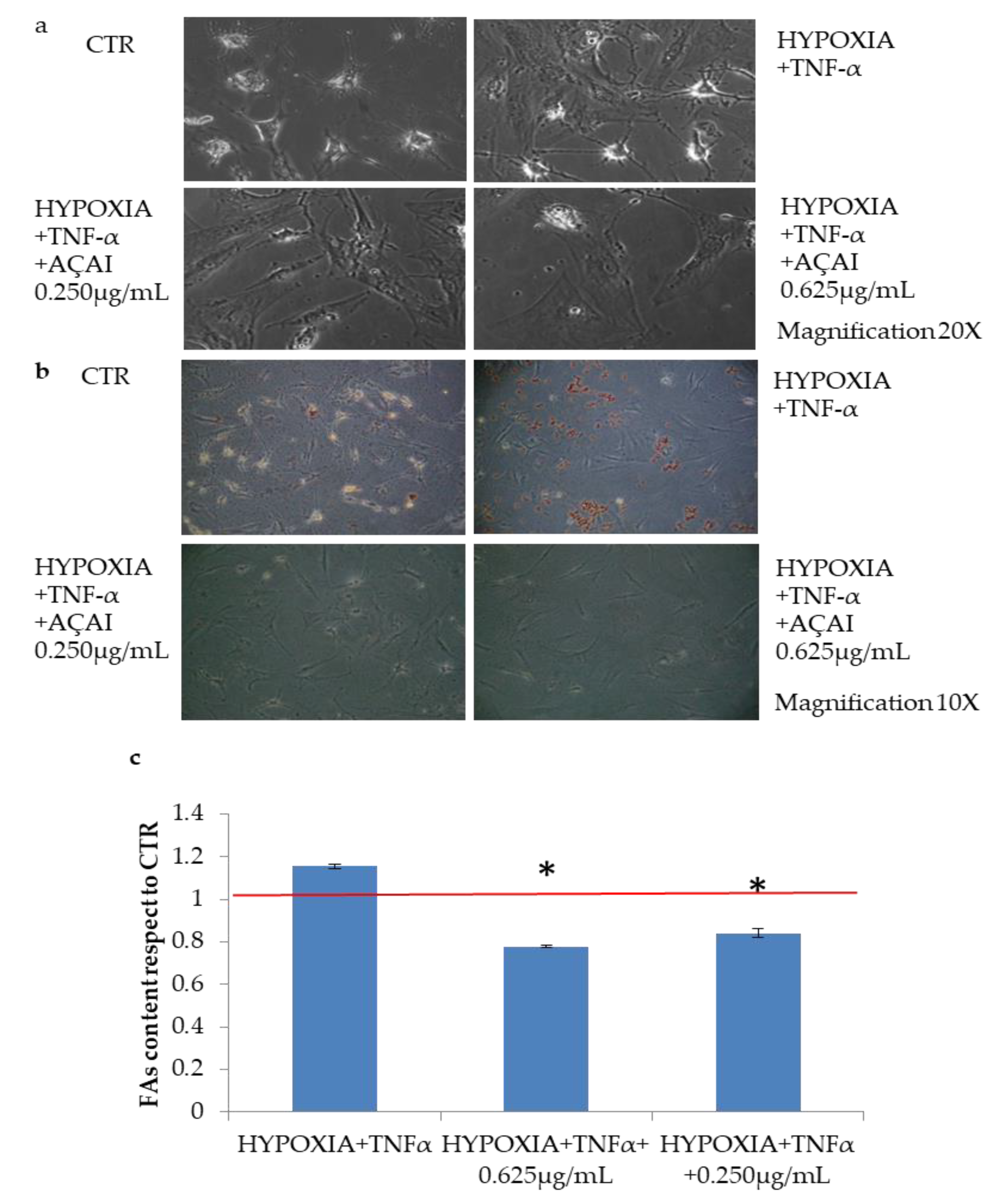 Antioxidants 10 00040 g007