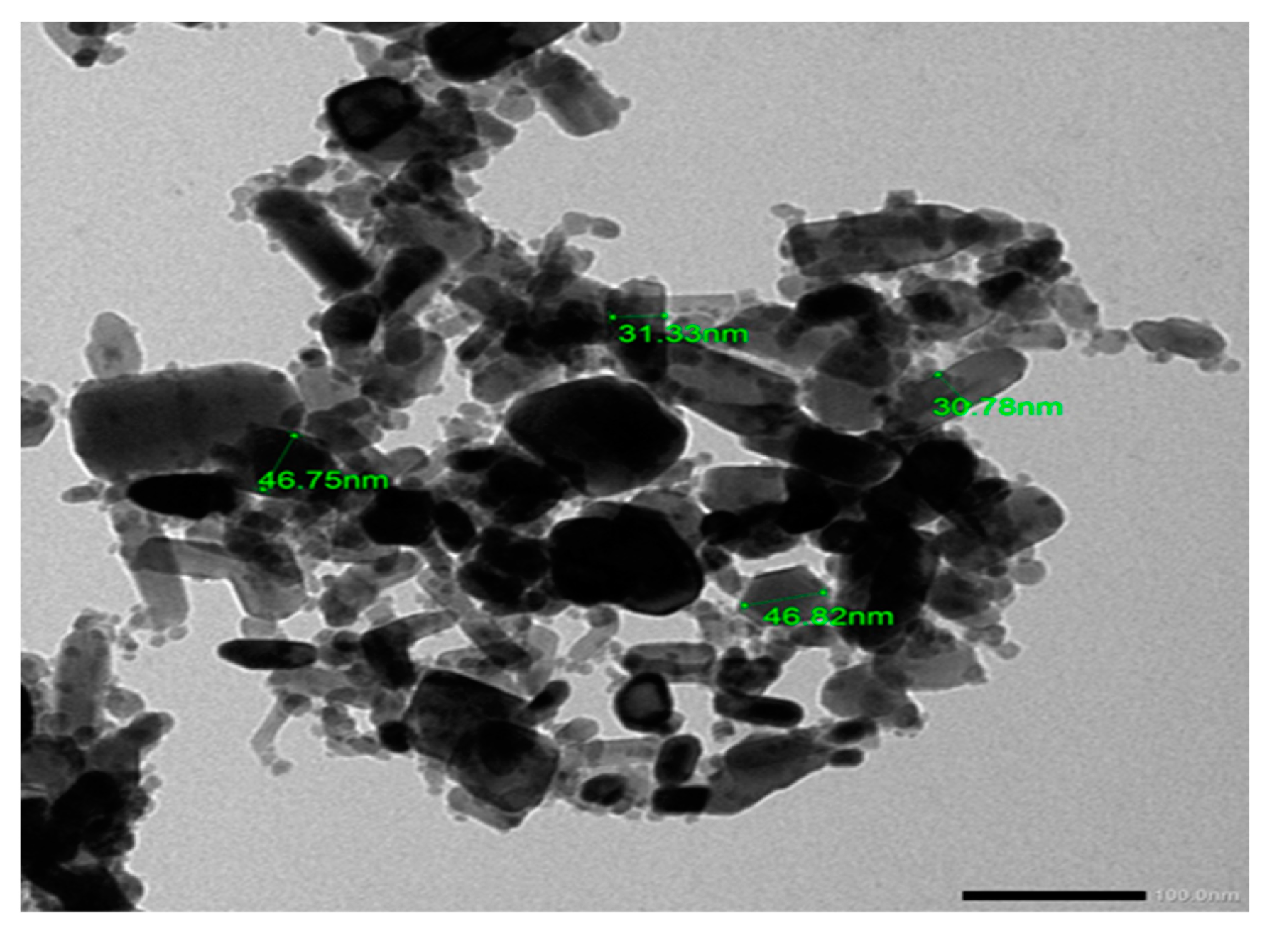 Antioxidants 10 00041 g001