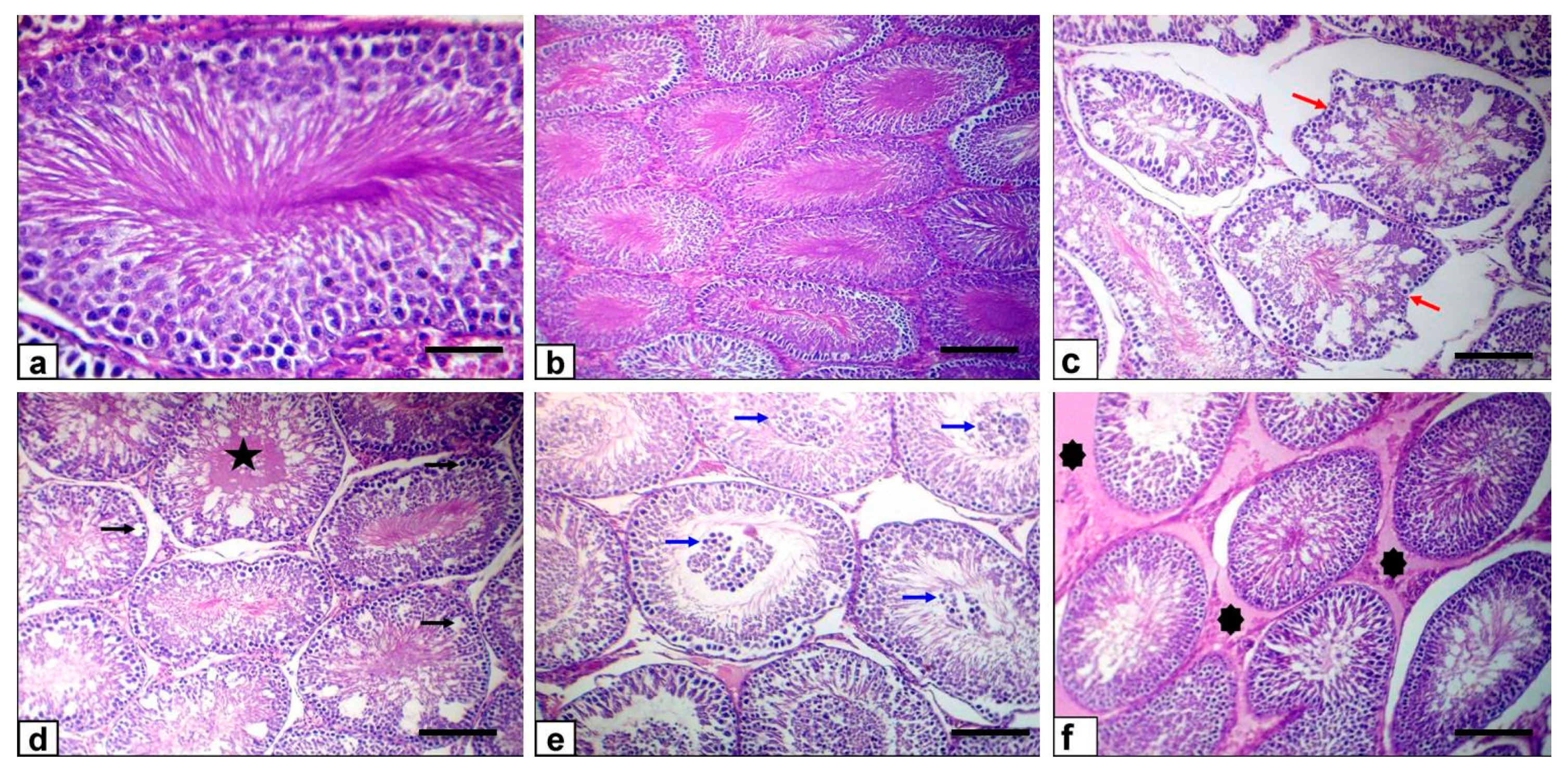 Antioxidants 10 00041 g008