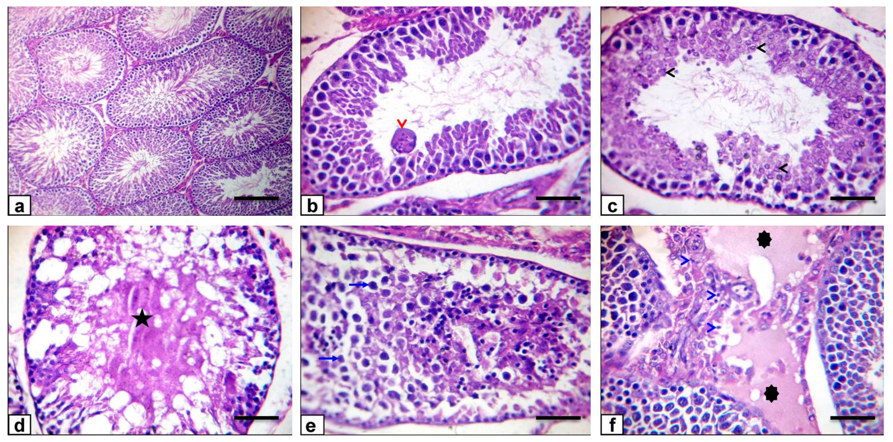 Antioxidants 10 00041 g009