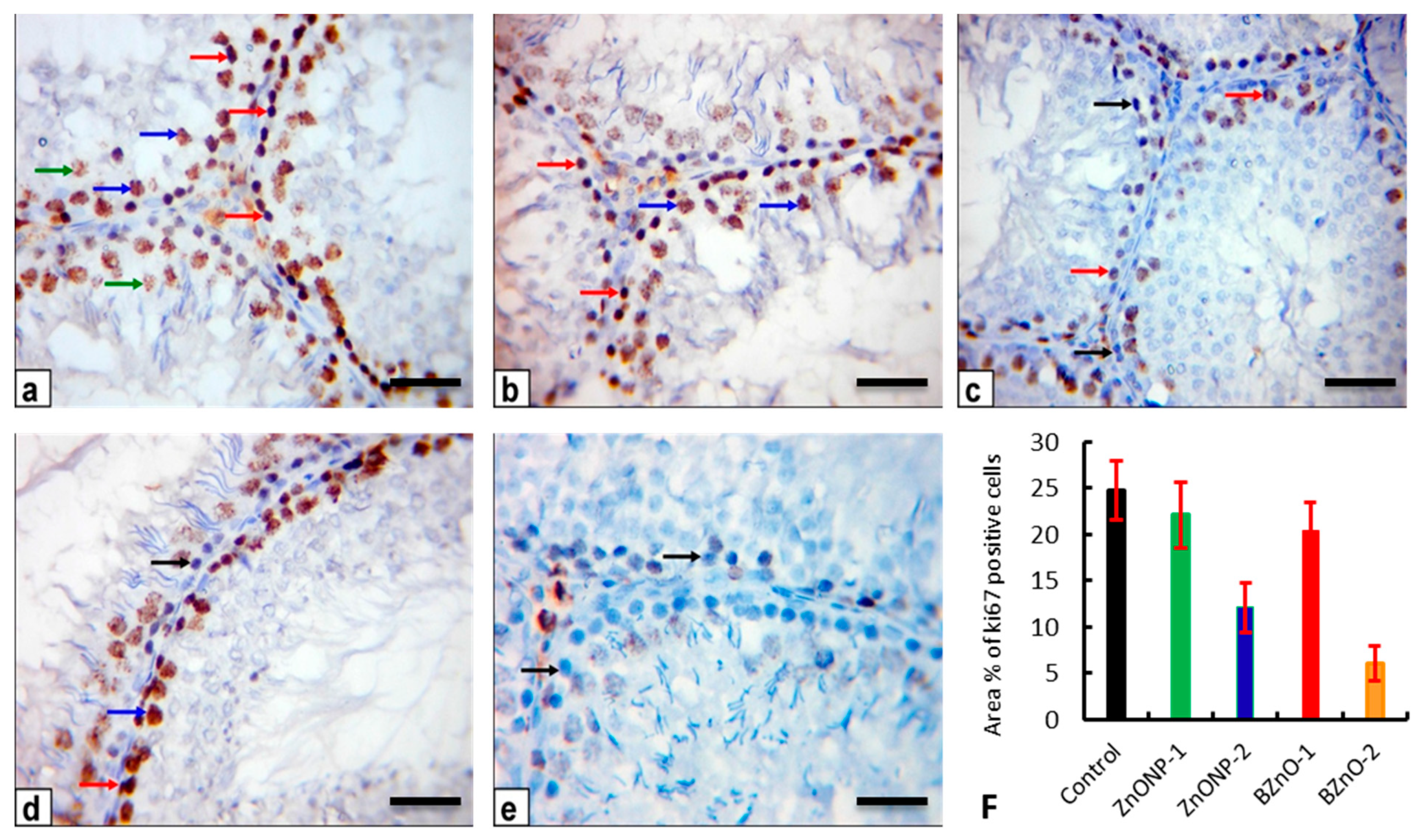 Antioxidants 10 00041 g010