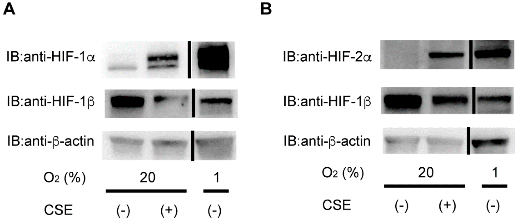 Antioxidants 10 00048 g001