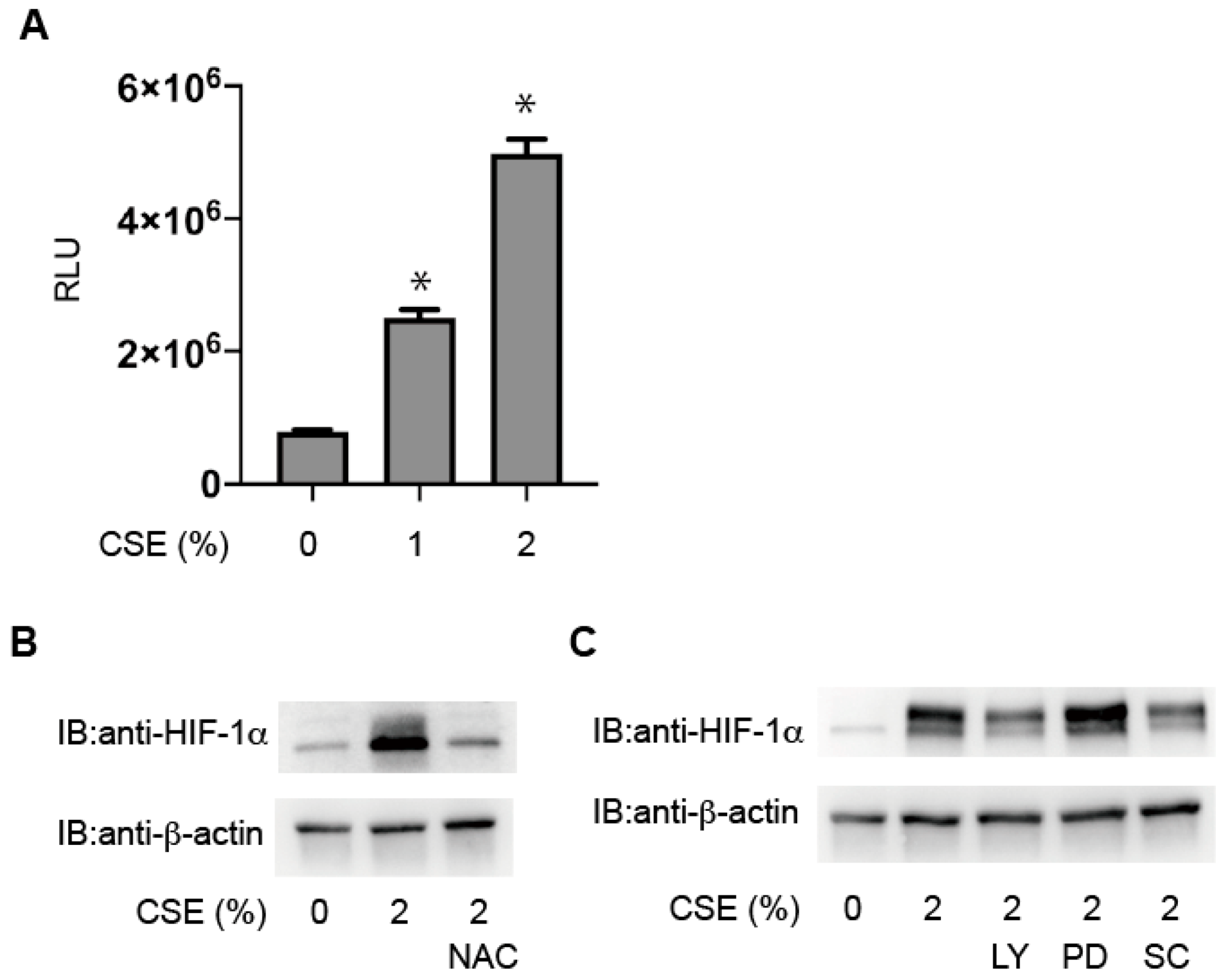 Antioxidants 10 00048 g006