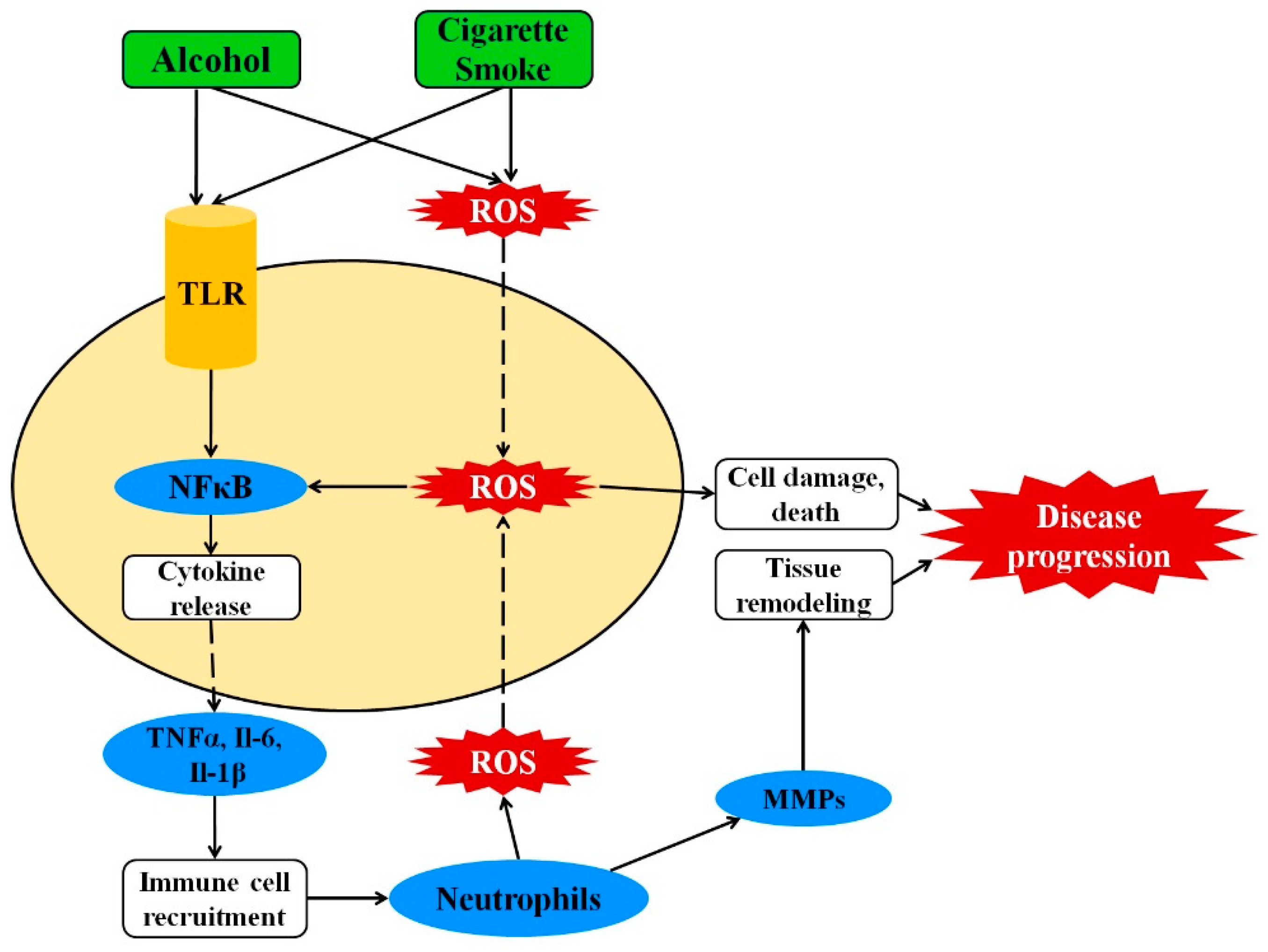 Antioxidants 10 00049 g001
