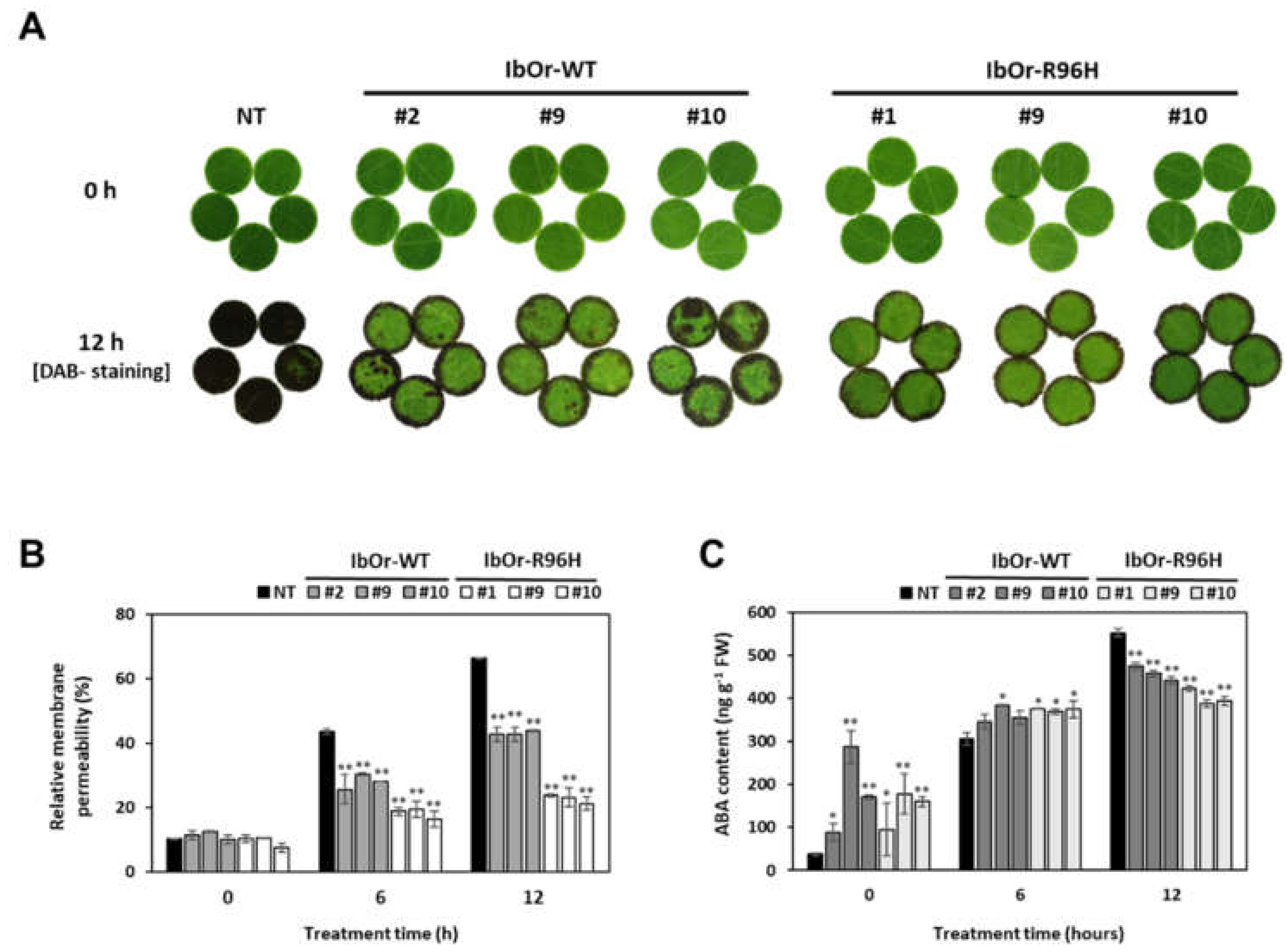 Antioxidants 10 00051 g007 Antioxidants 10 00051 g007