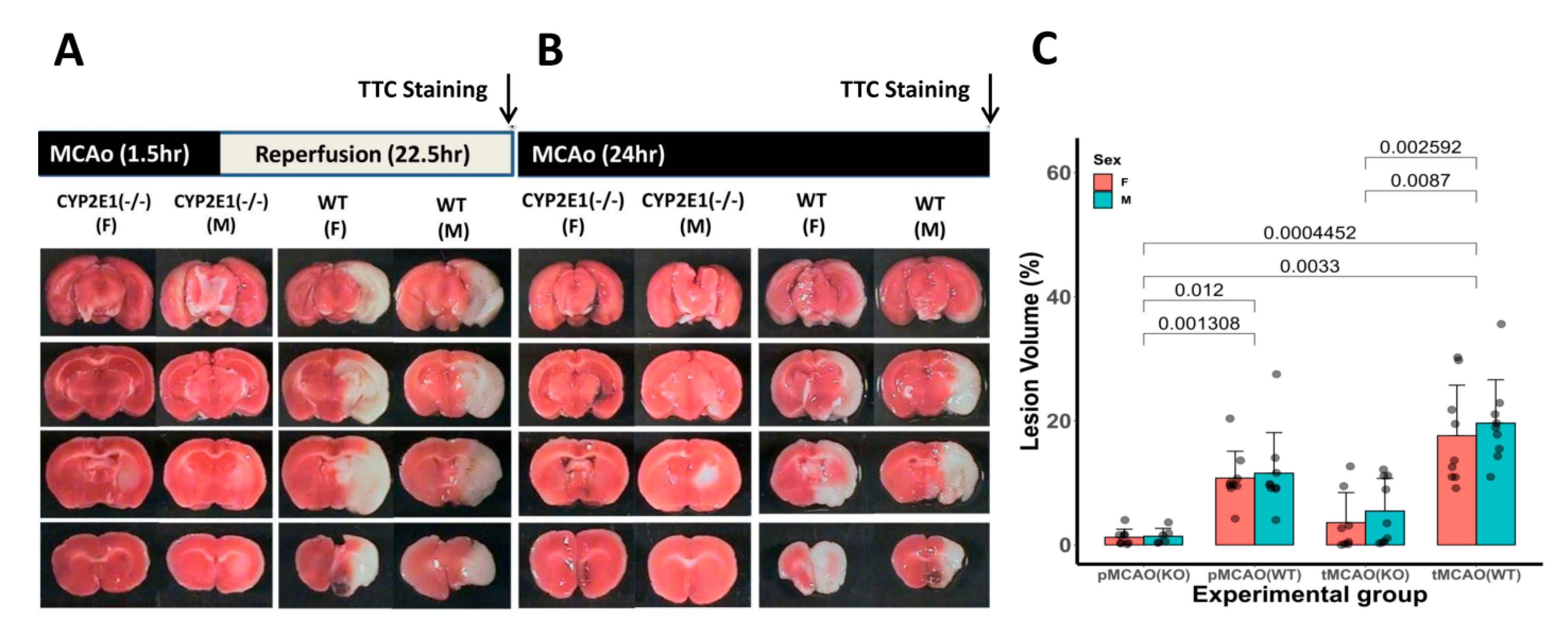 Antioxidants 10 00052 g001