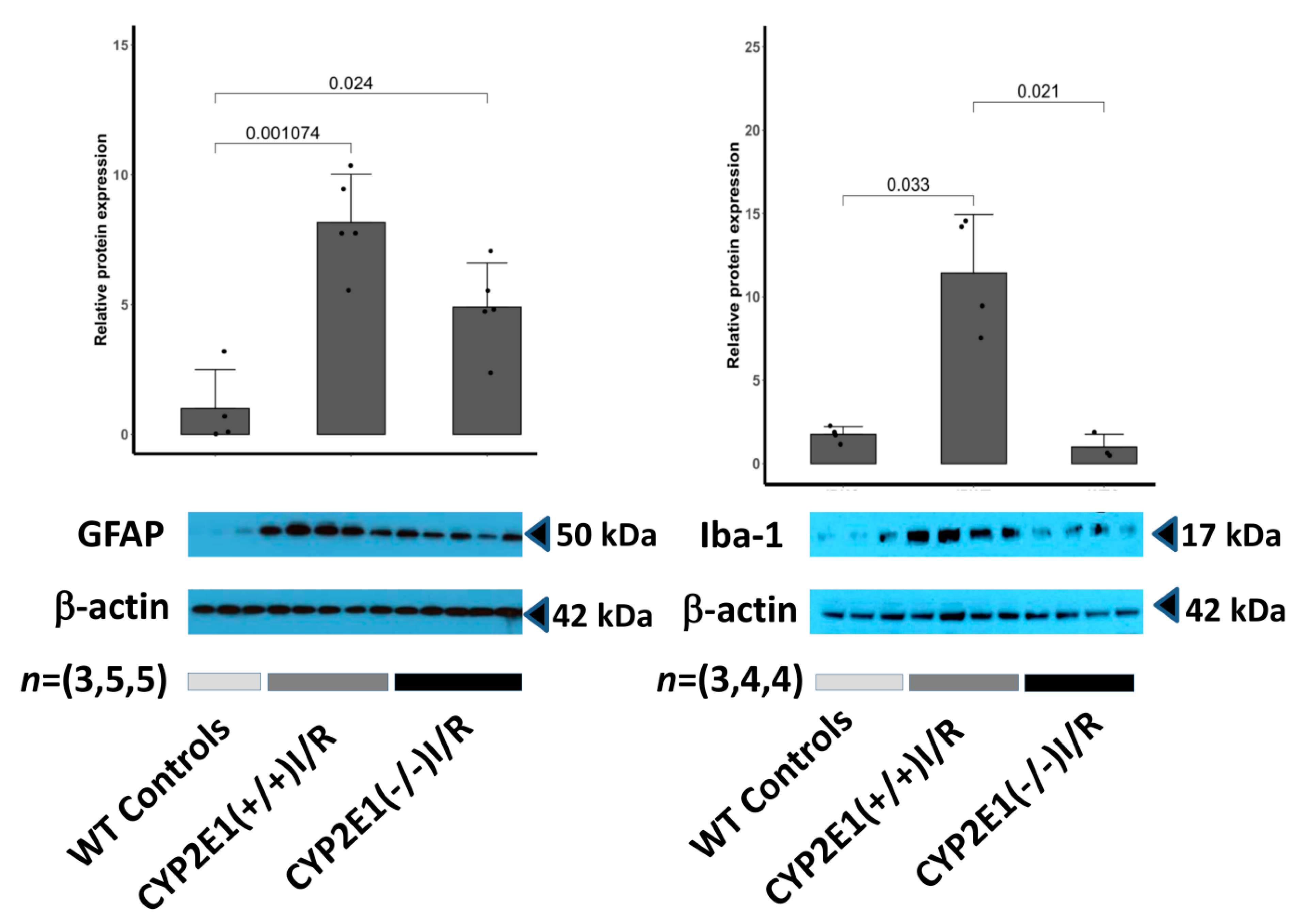 Antioxidants 10 00052 g004