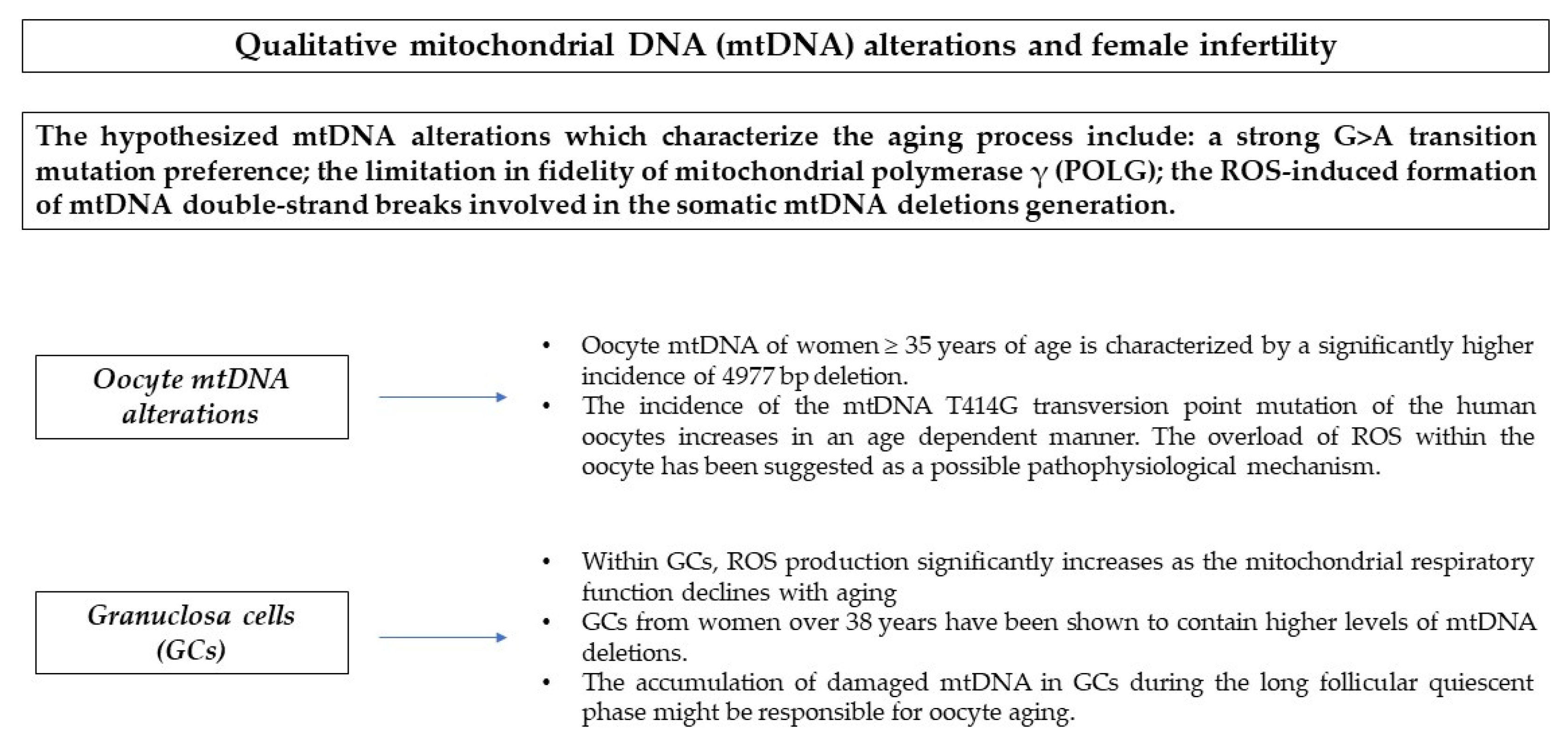 Antioxidants 10 00055 g001 Antioxidants 10 00055 g001