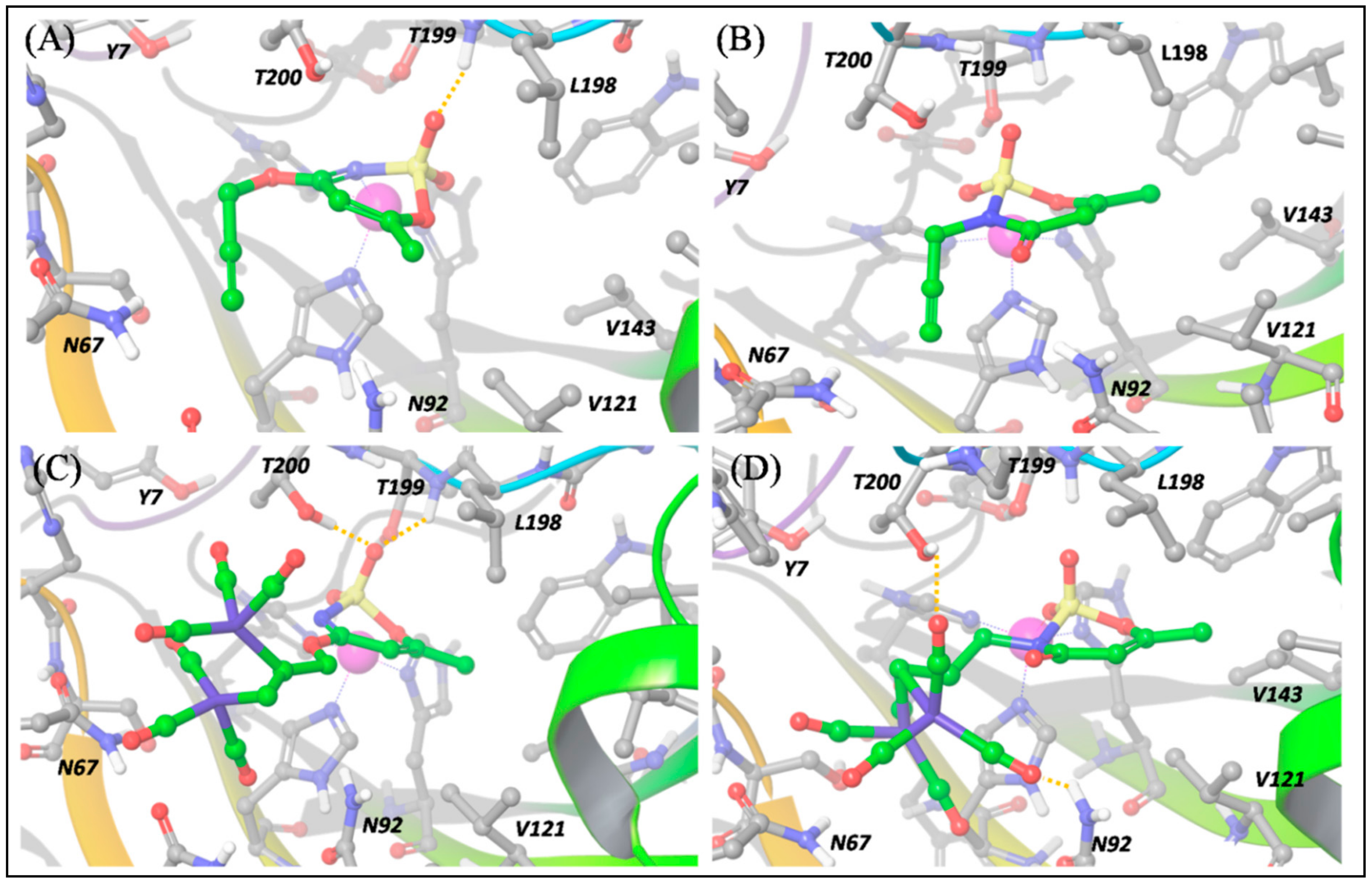 Antioxidants 10 00056 g006