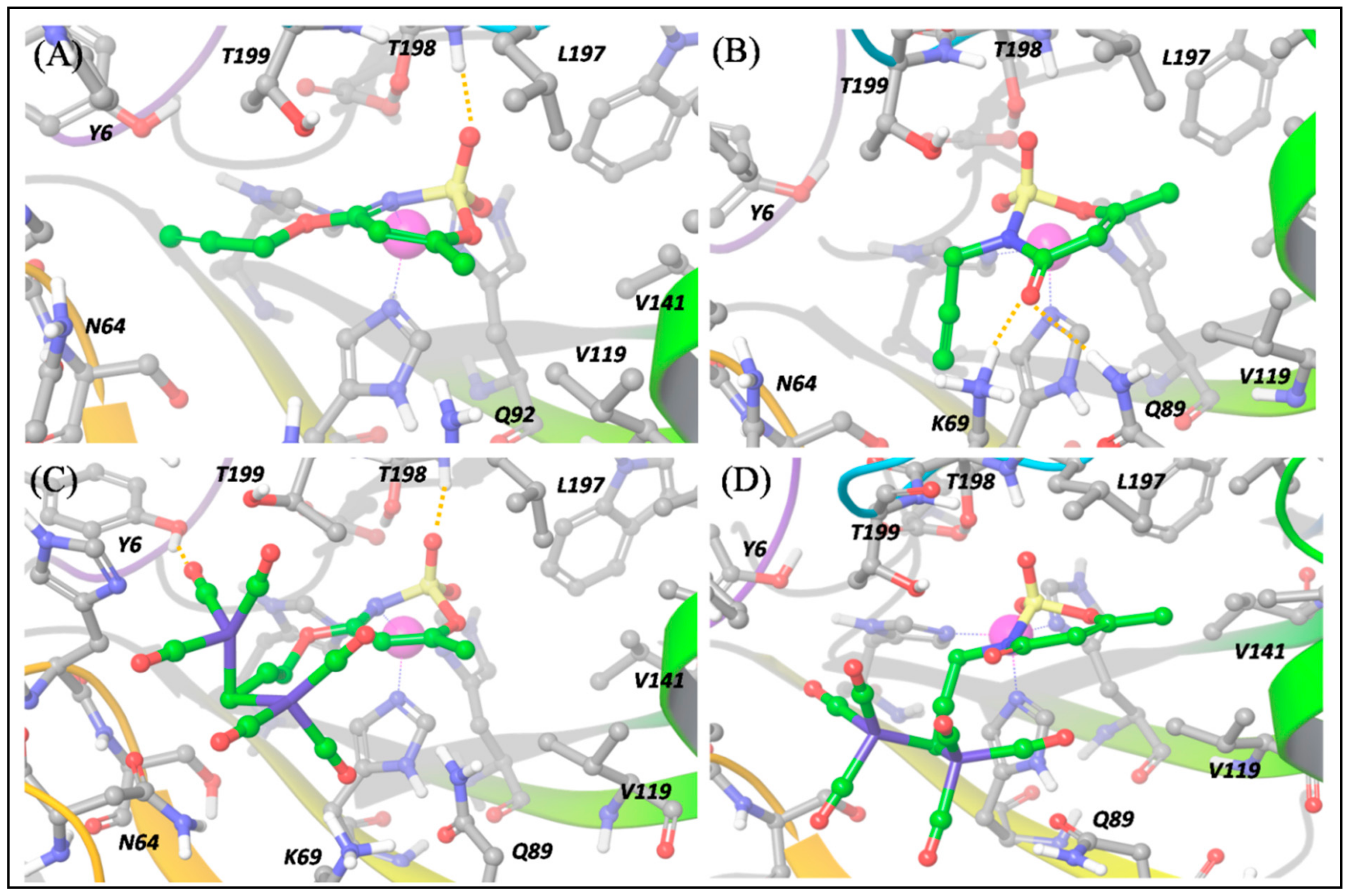 Antioxidants 10 00056 g007
