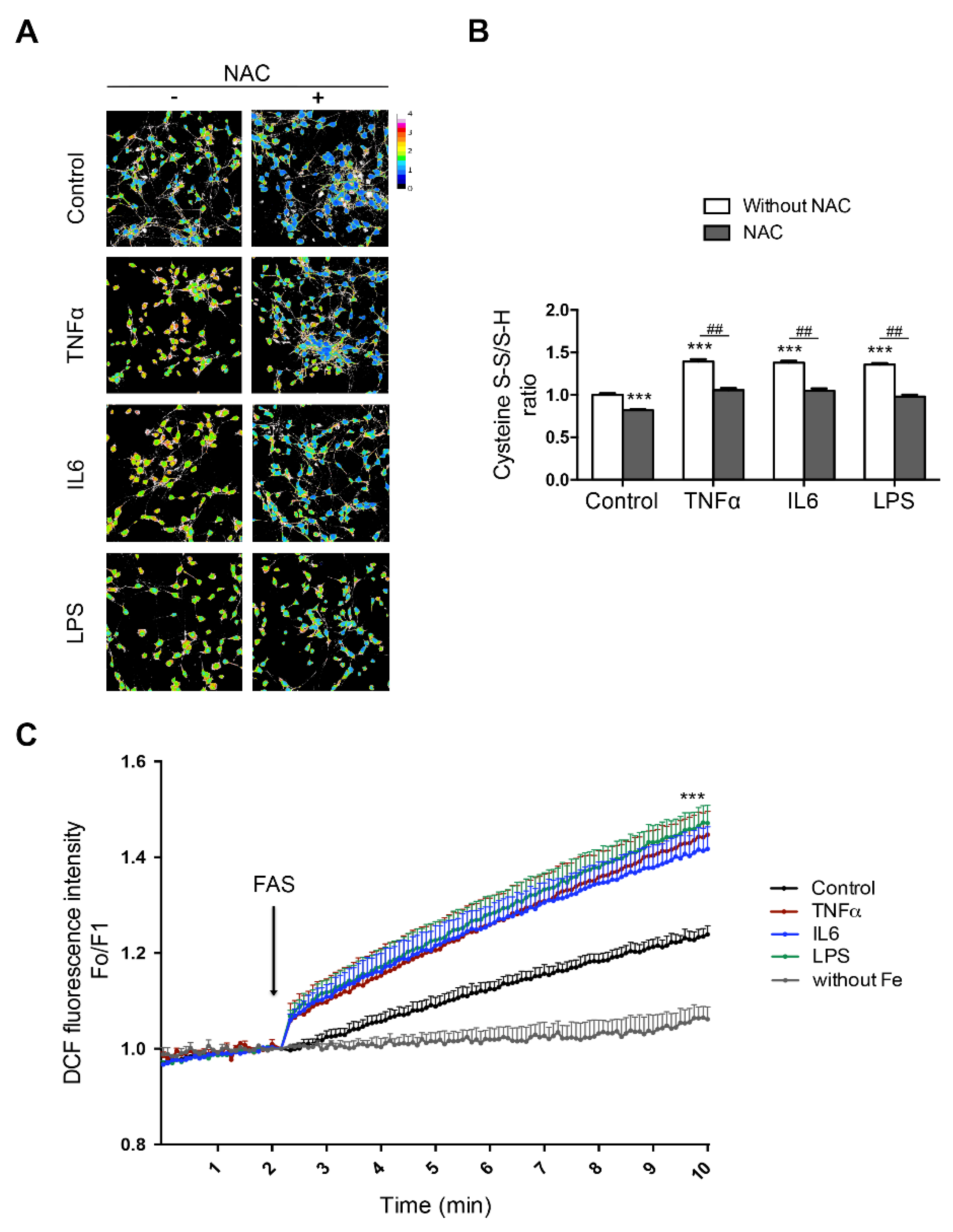 Antioxidants 10 00061 g003