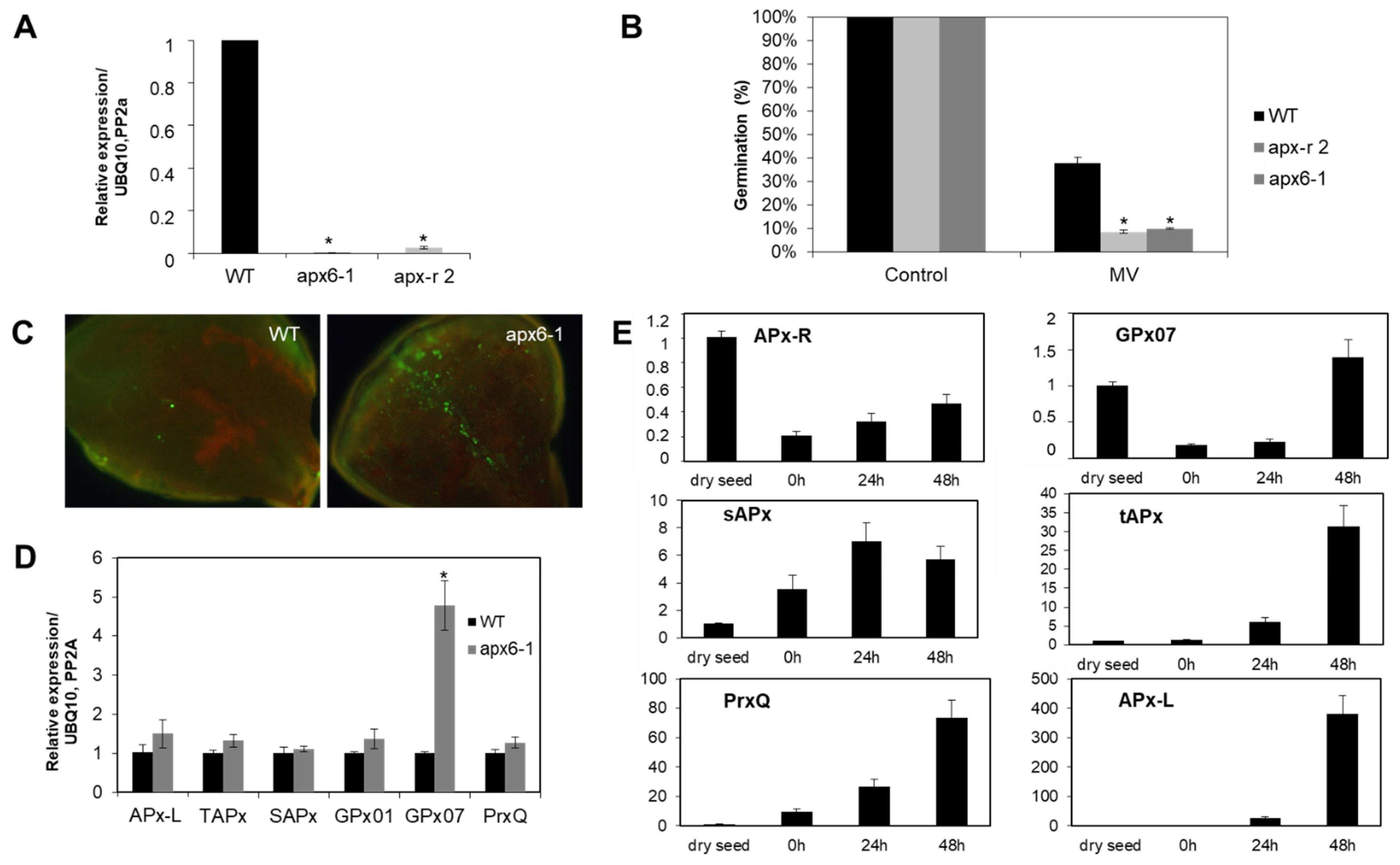 Antioxidants 10 00065 g003