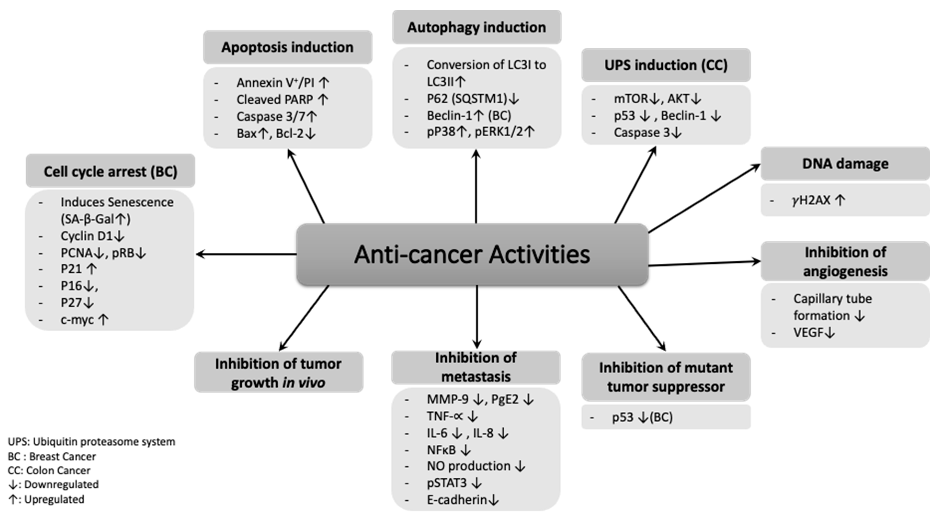 Antioxidants 10 00073 g002