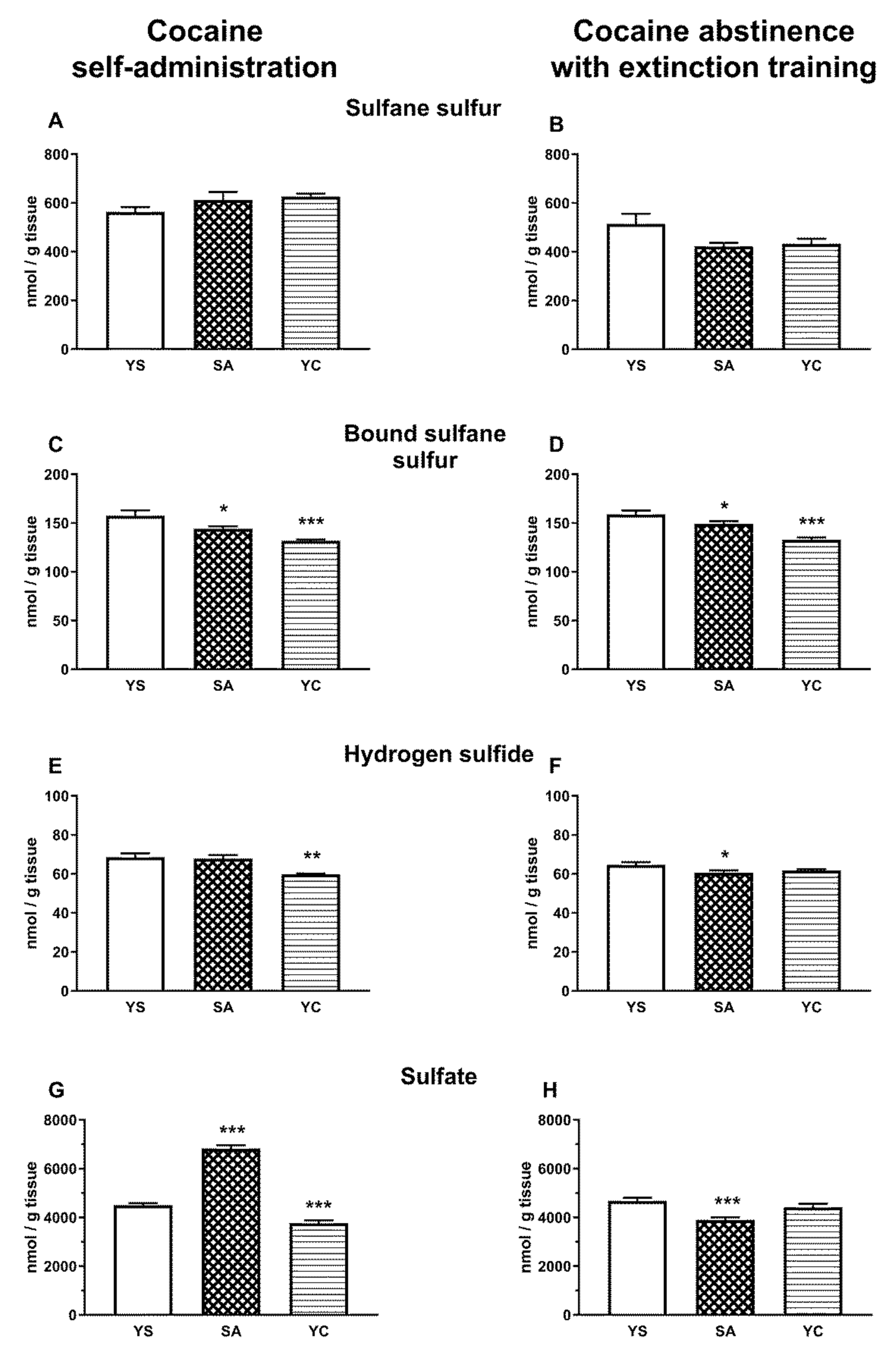 Antioxidants 10 00074 g004 Antioxidants 10 00074 g004