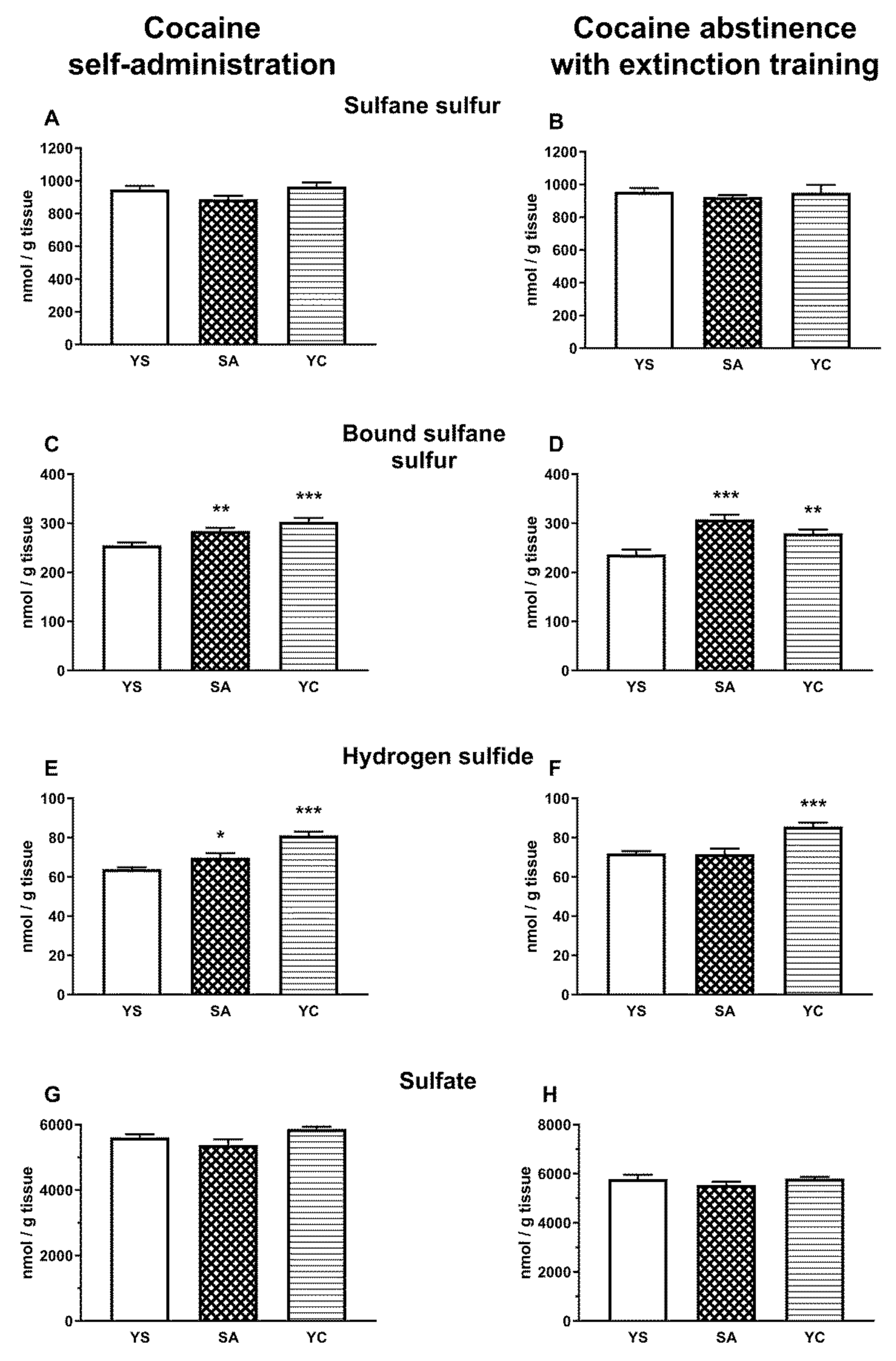 Antioxidants 10 00074 g005 Antioxidants 10 00074 g005
